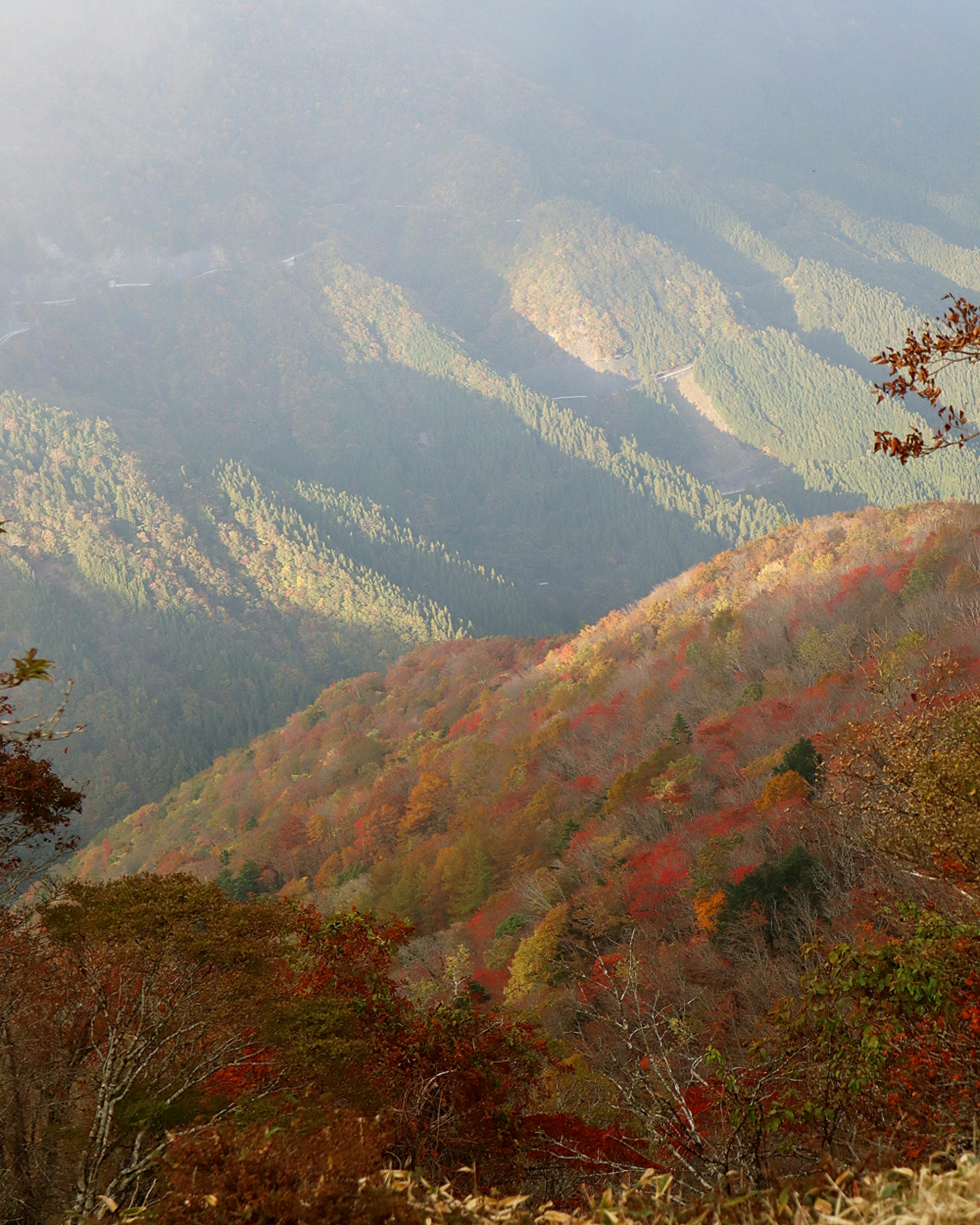 秋の紅葉が広がる山の風景と霧のかかる谷間