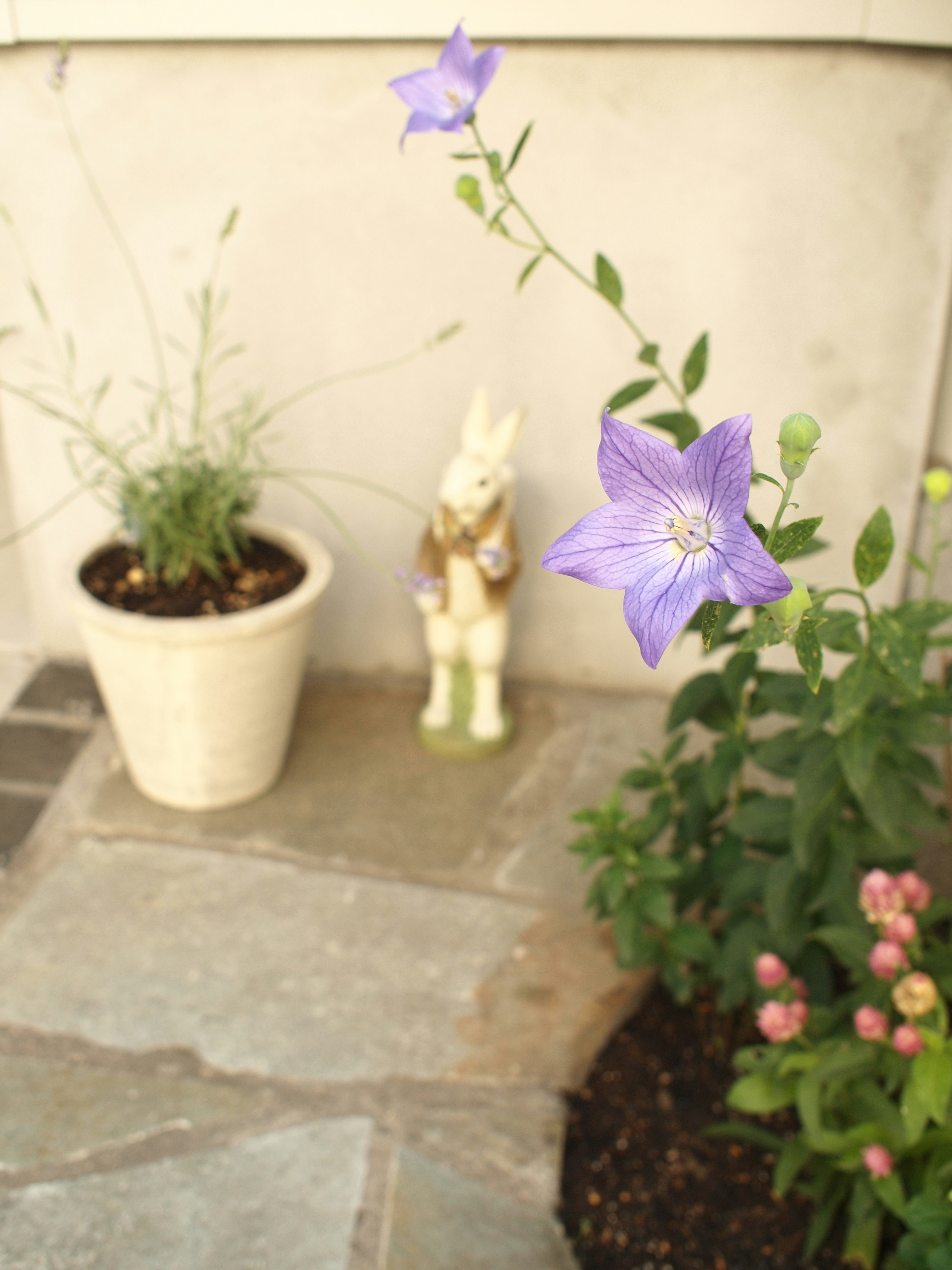 Flor morada junto a una maceta blanca con plantas y una figura decorativa de conejo en una esquina de jardín