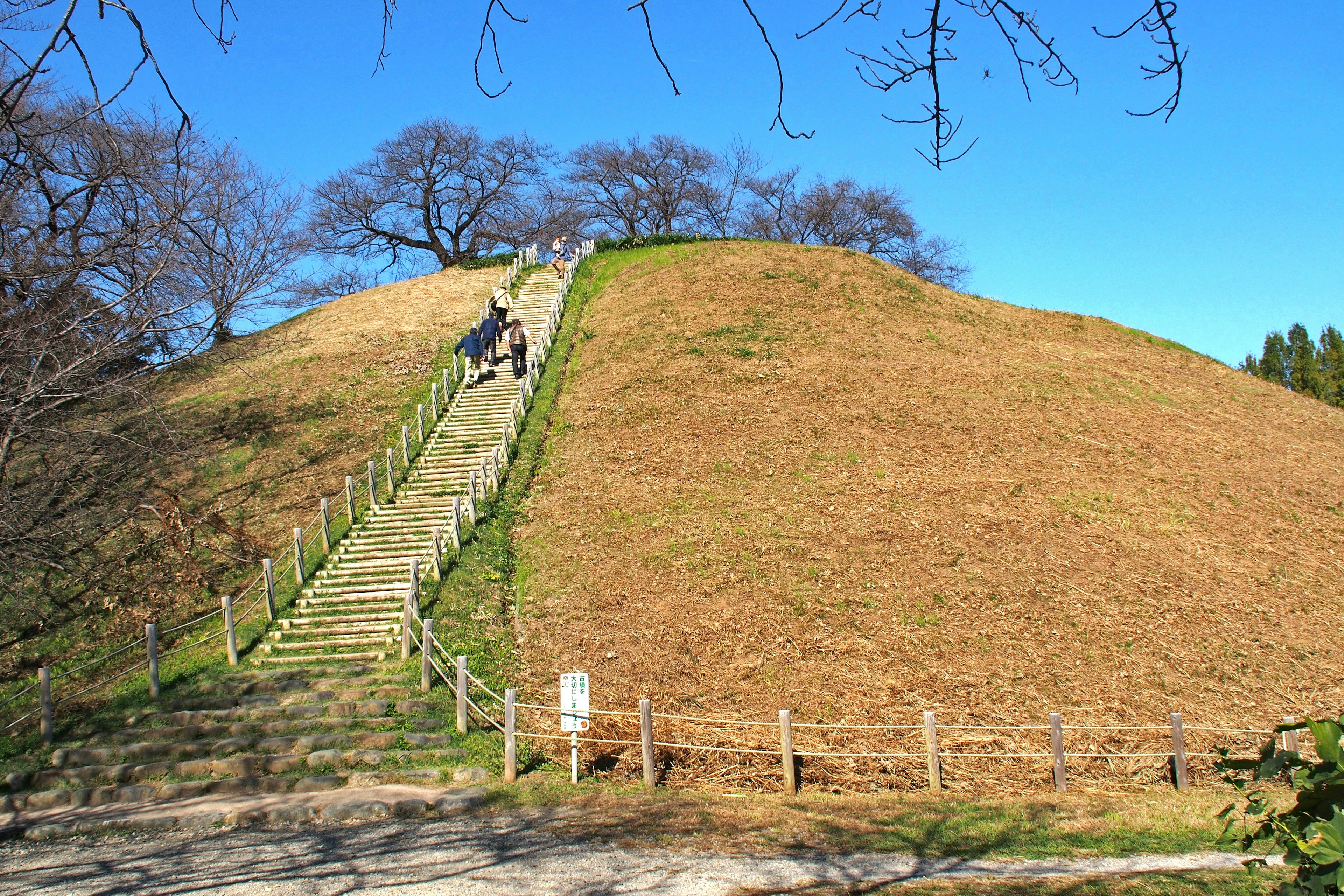 People ascending wooden stairs on a grassy hill under a clear blue sky