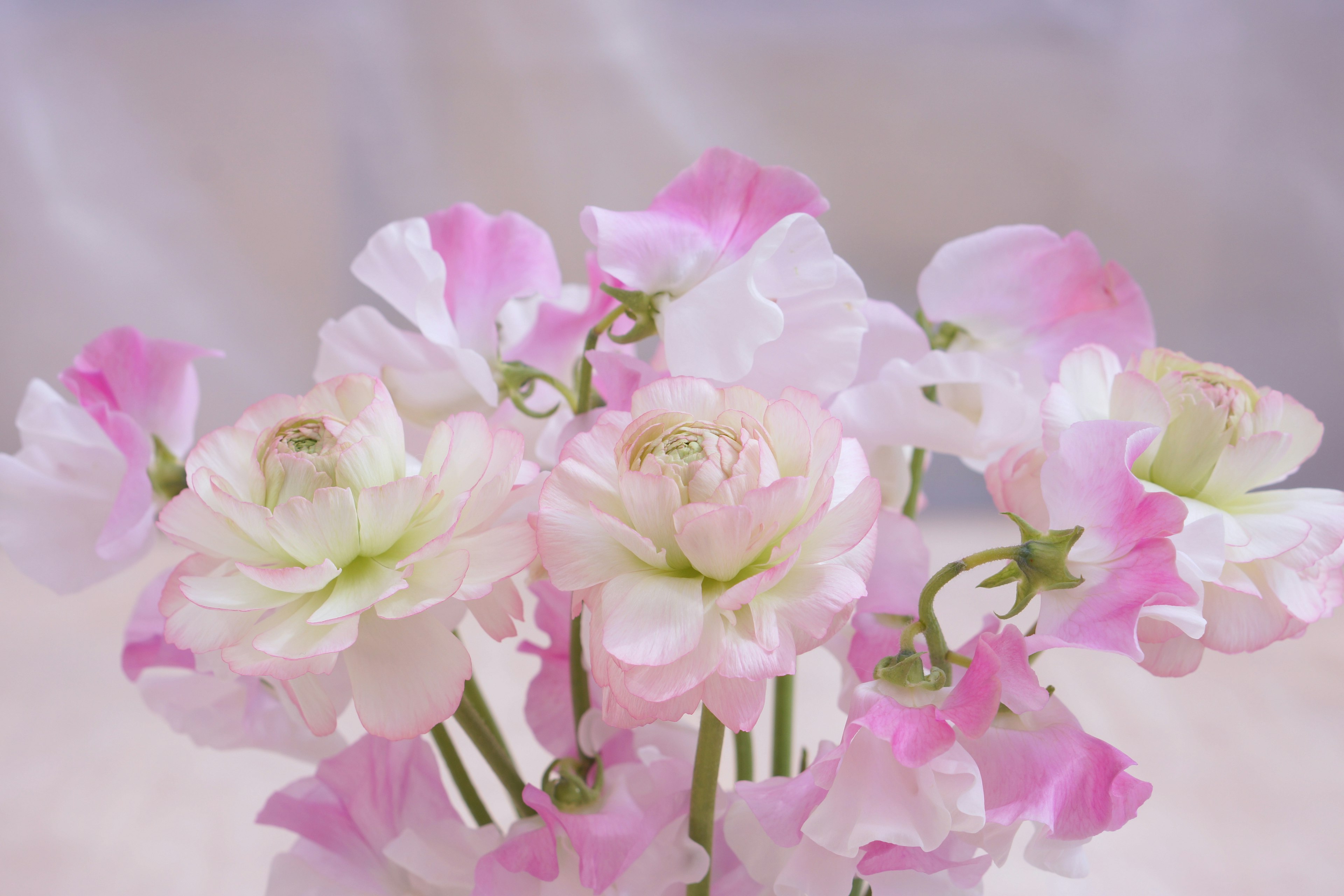 Ein schöner Strauß aus sanften rosa und weißen Blumen