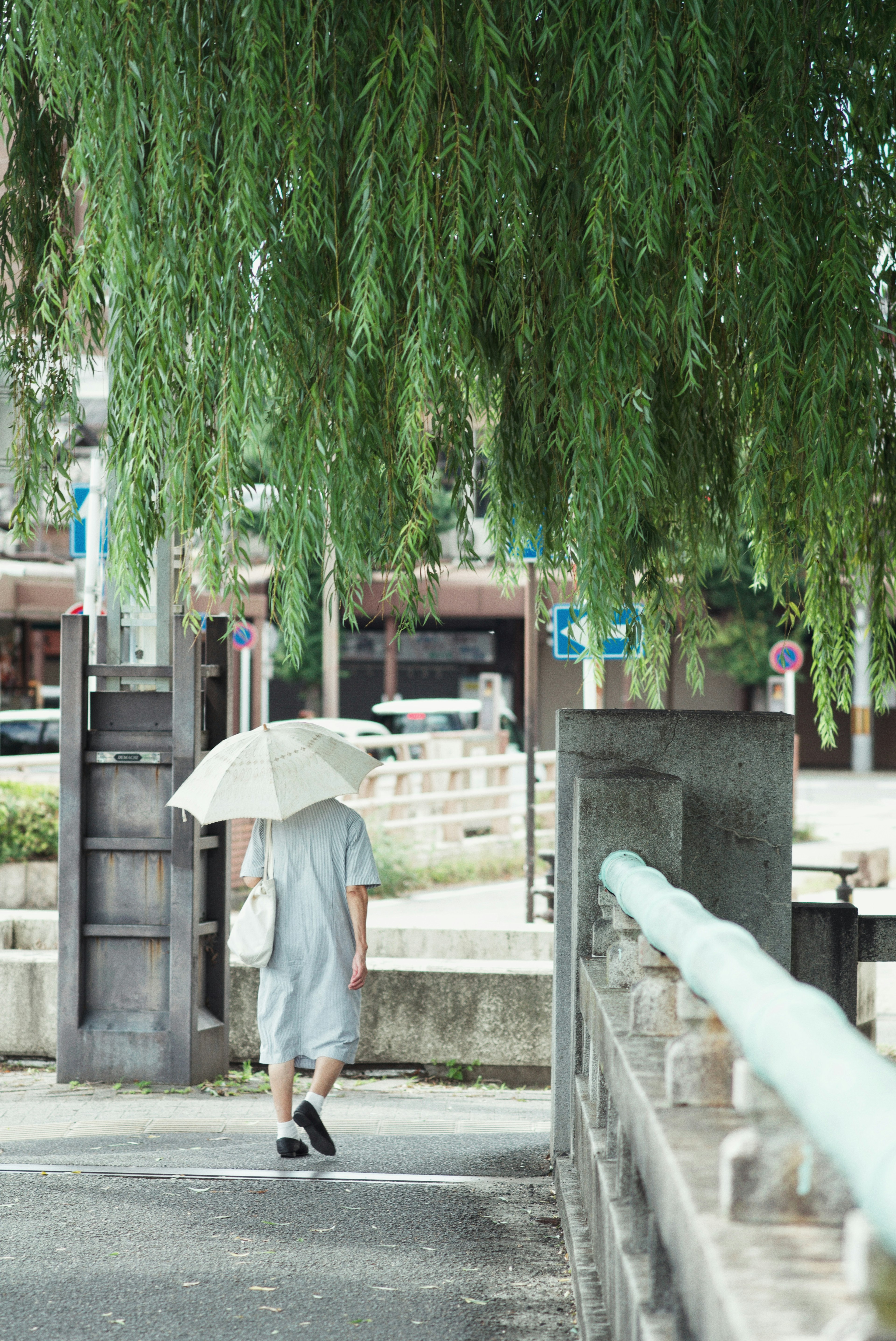 Person walking under a green willow tree holding an umbrella