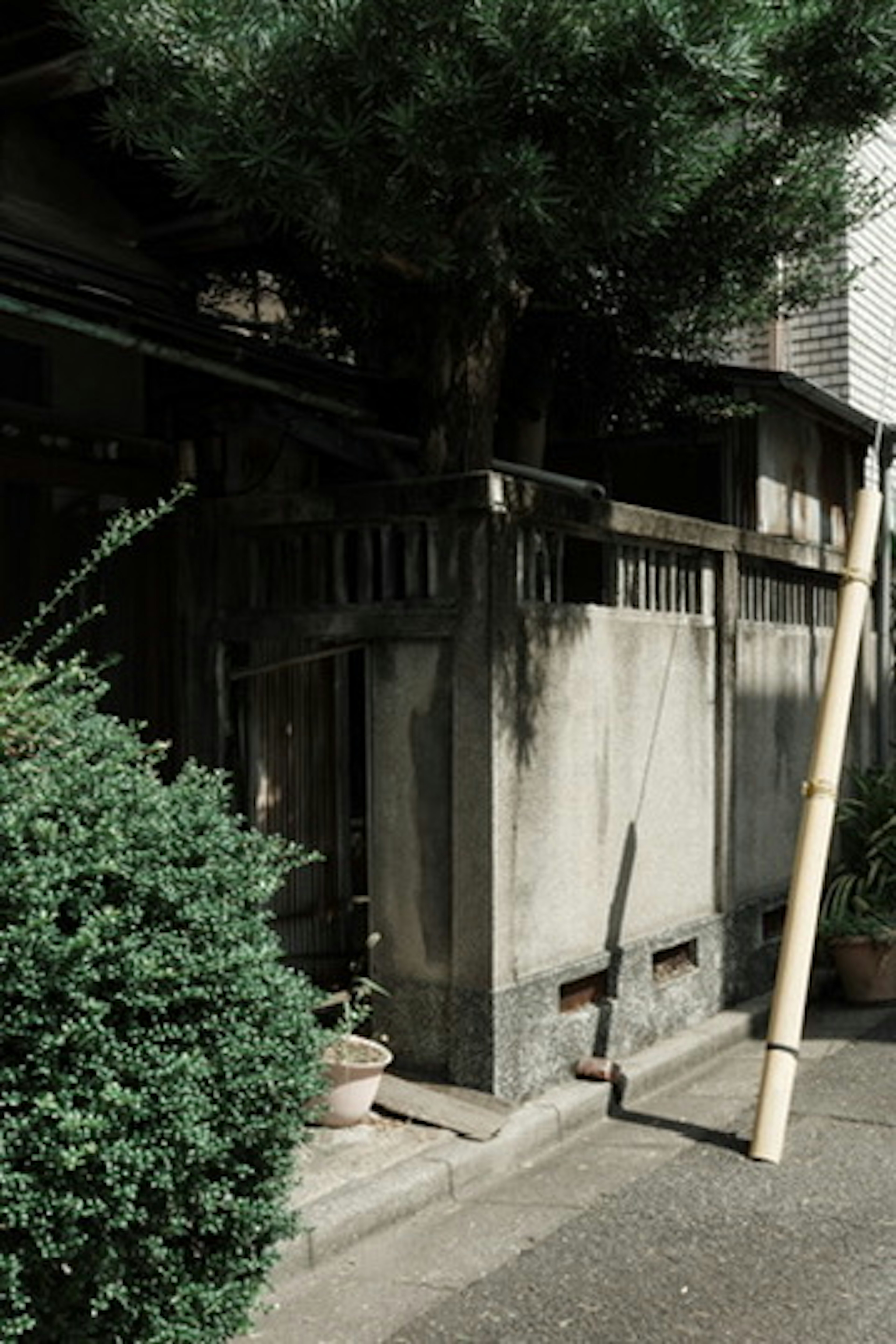 Exterior de un edificio antiguo con un poste de bambú y plantas verdes