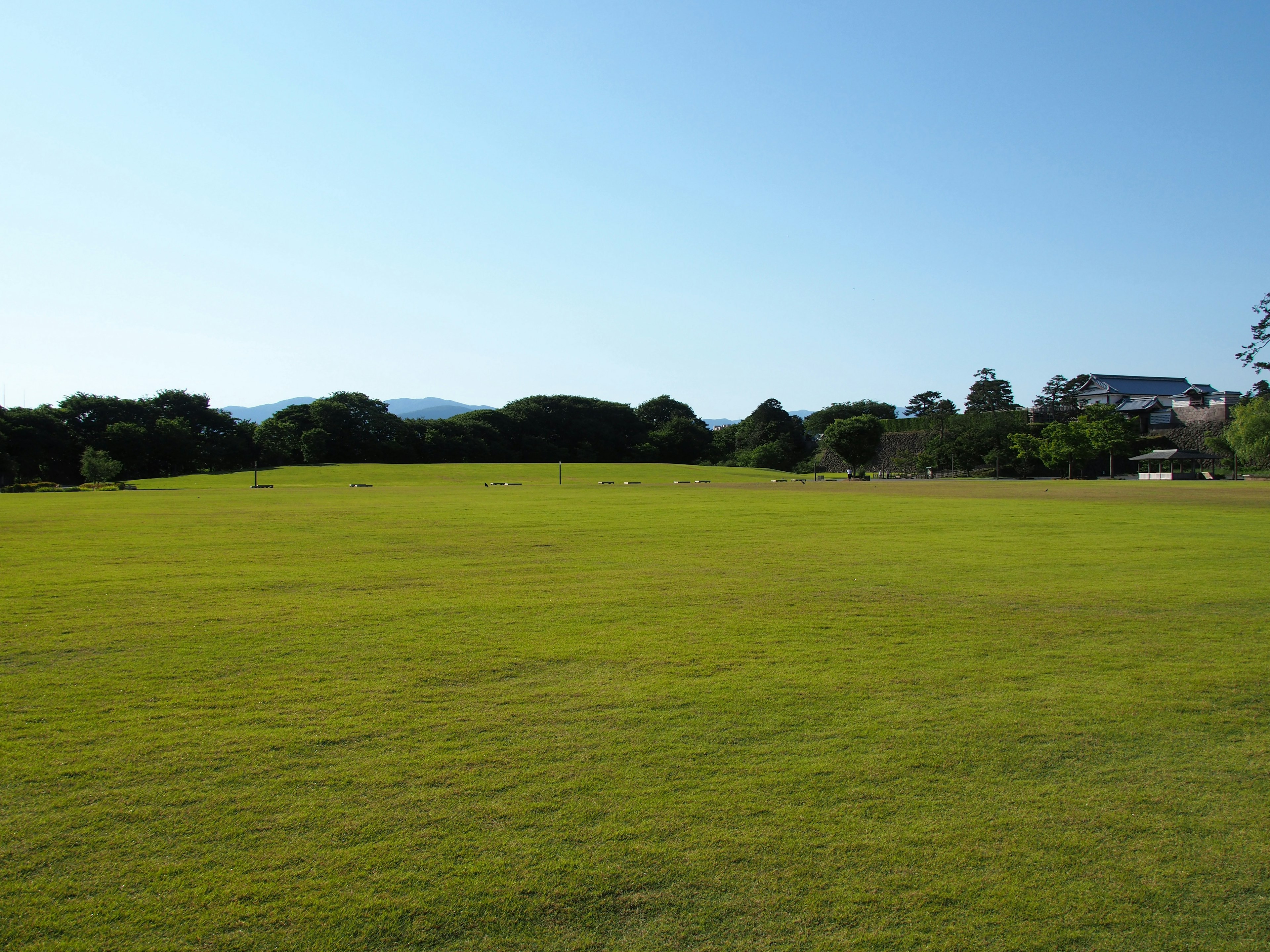 Vast green field under a clear blue sky