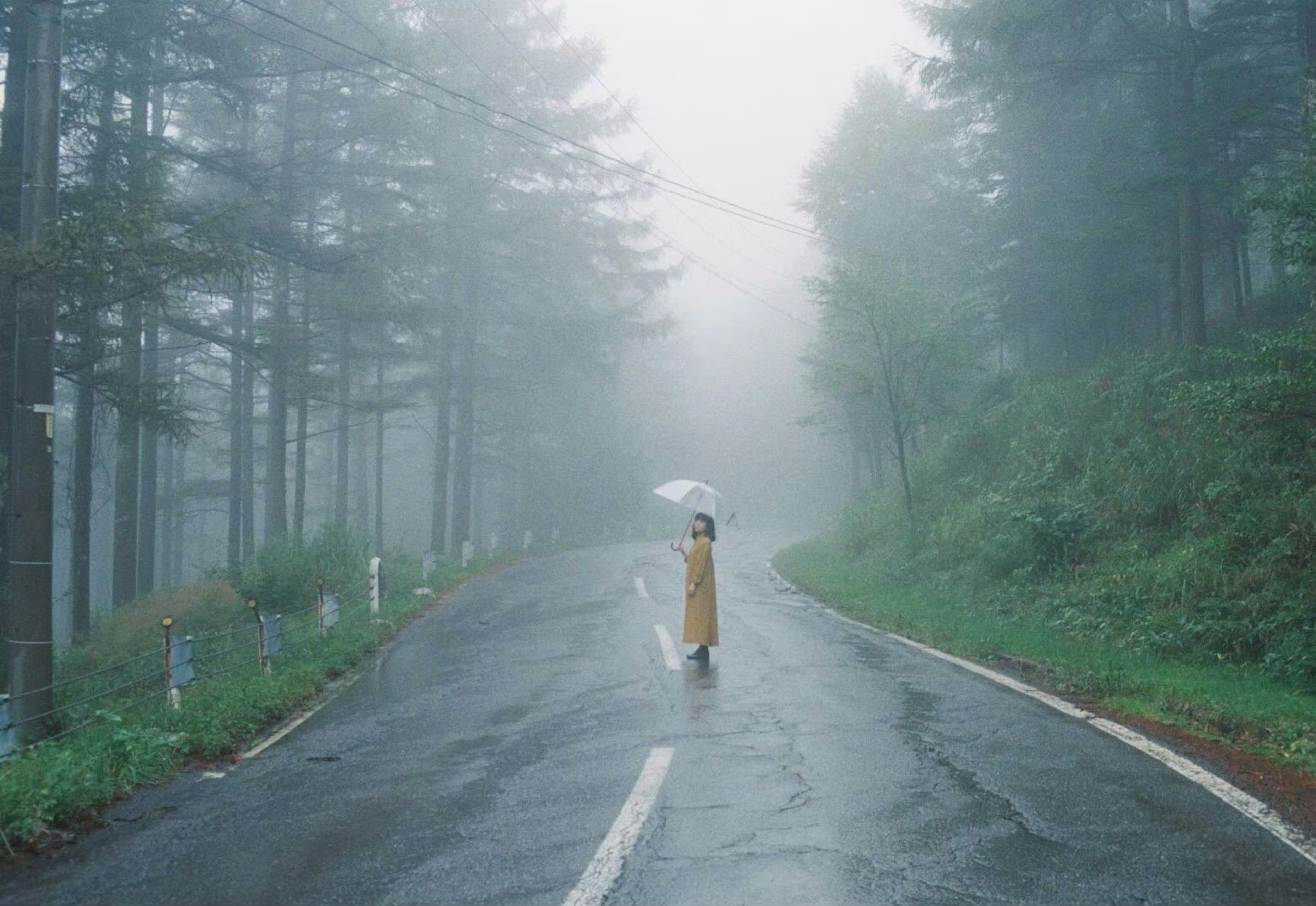 A woman holding an umbrella walking on a foggy road