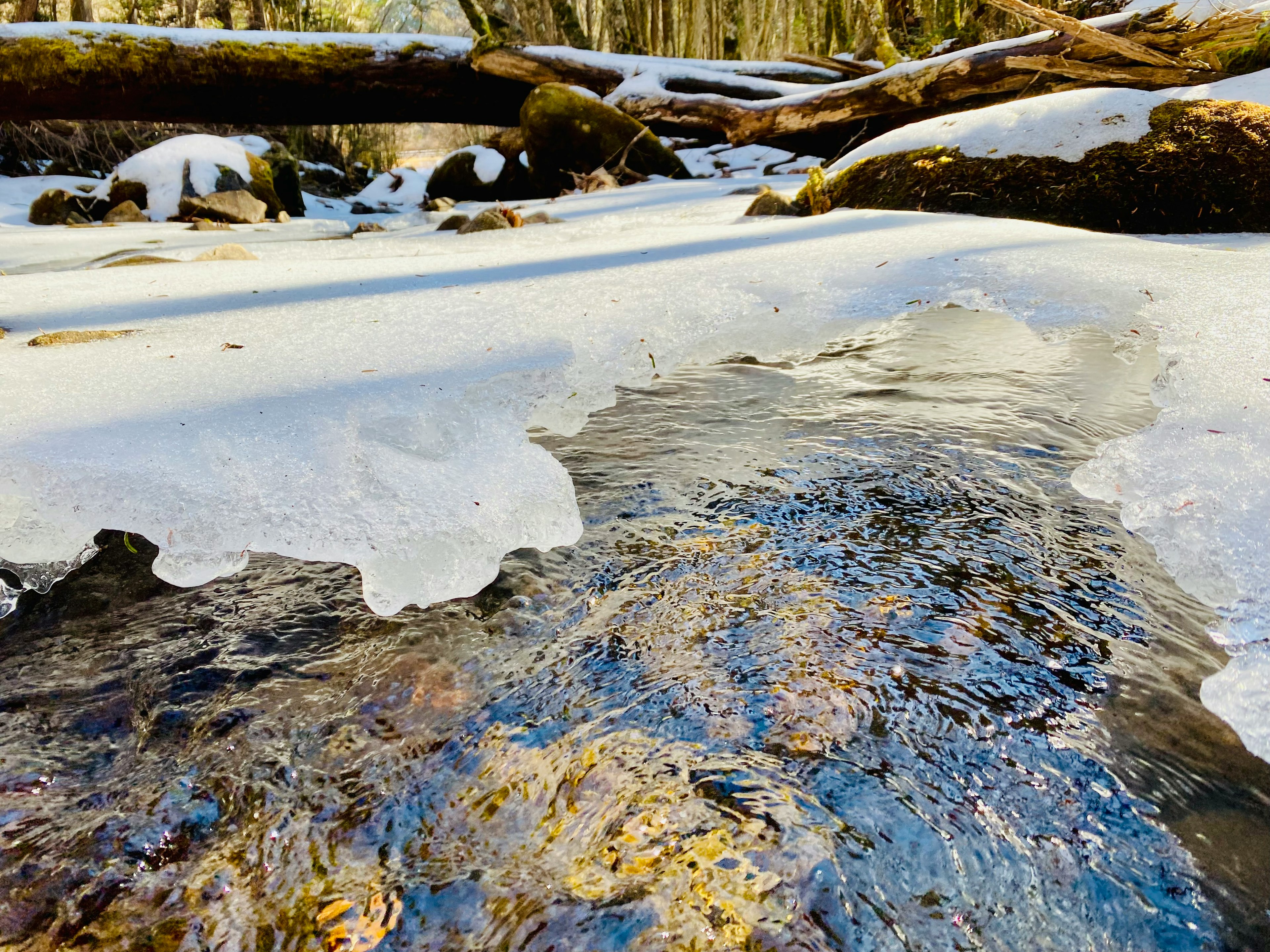 Eine malerische Ansicht eines von Schnee bedeckten Baches mit sichtbaren Steinen