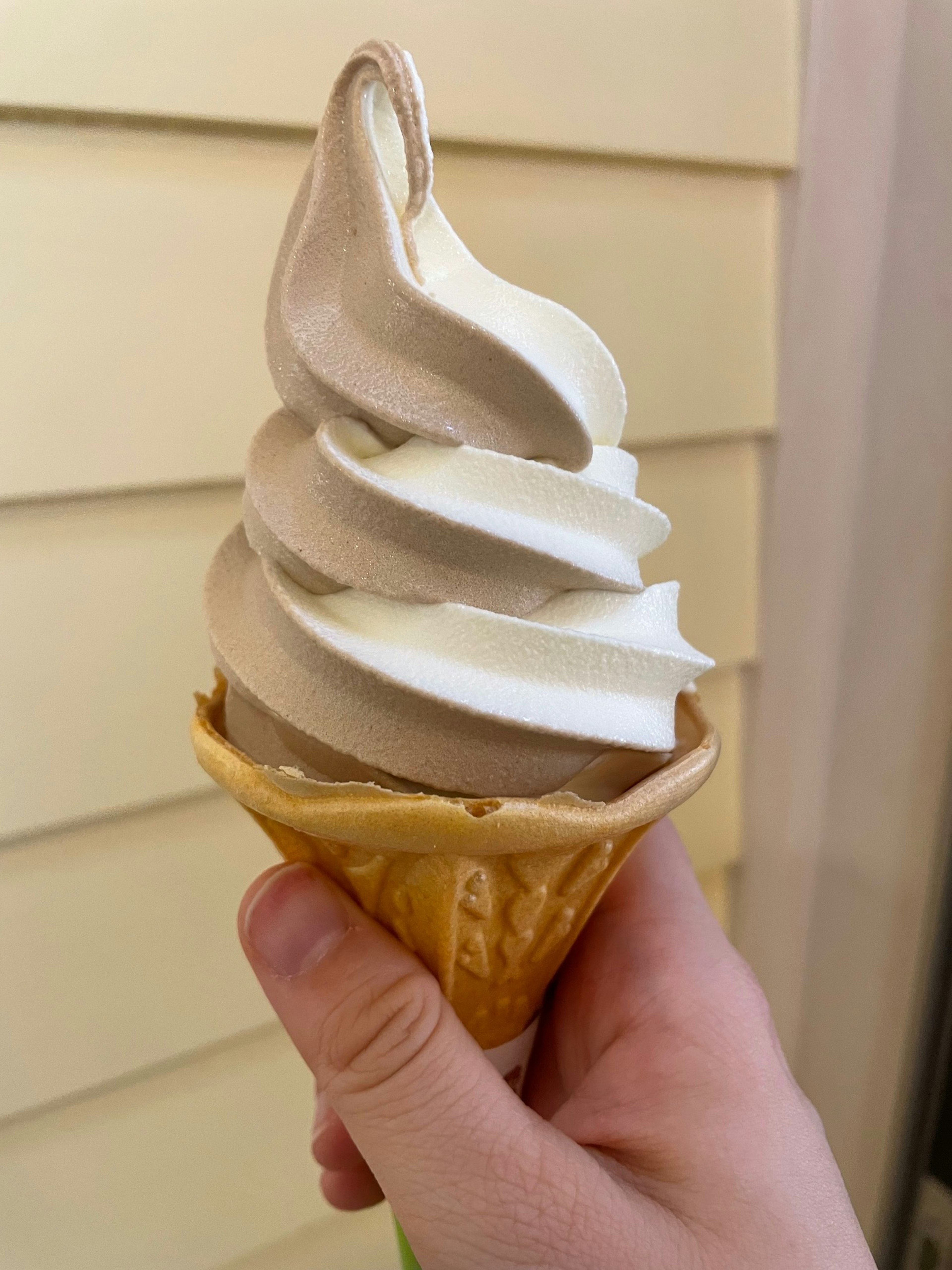 Gelato morbido in un cono tenuto da una mano