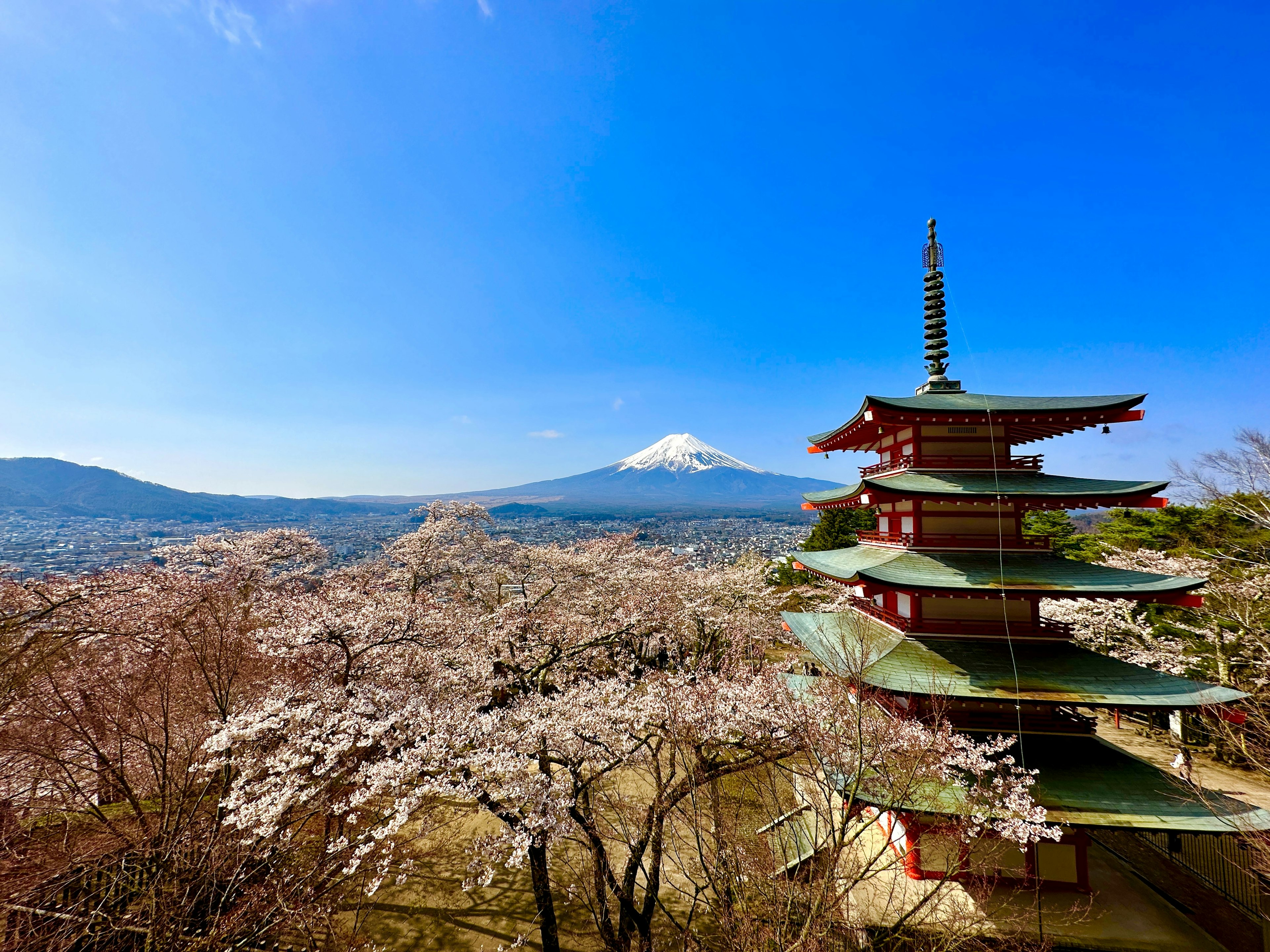 Schöne Landschaft mit Kirschblüten und einer Pagode im Hintergrund des Fuji