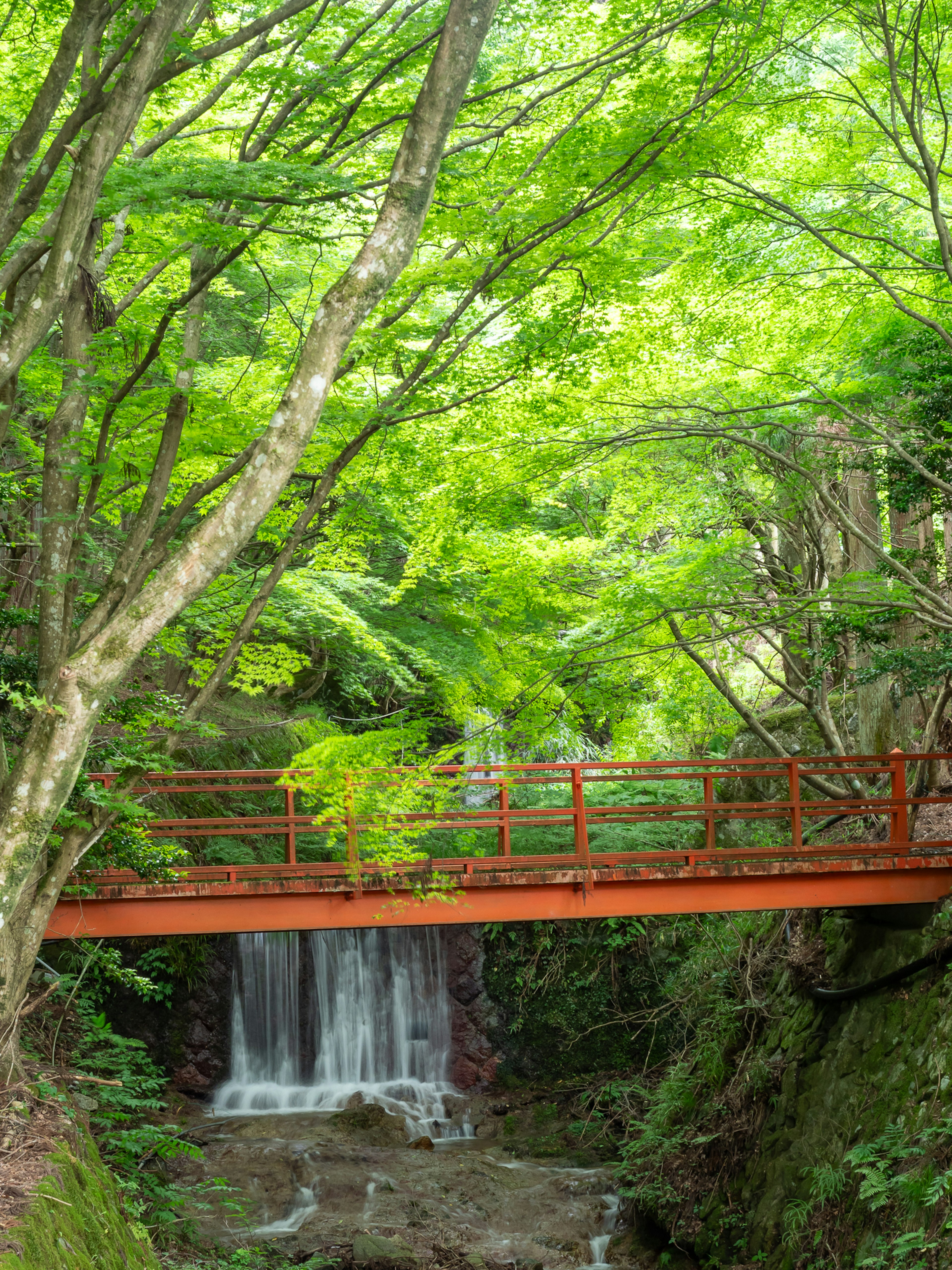 緑豊かな木々と赤い橋が流れる滝を見下ろす風景