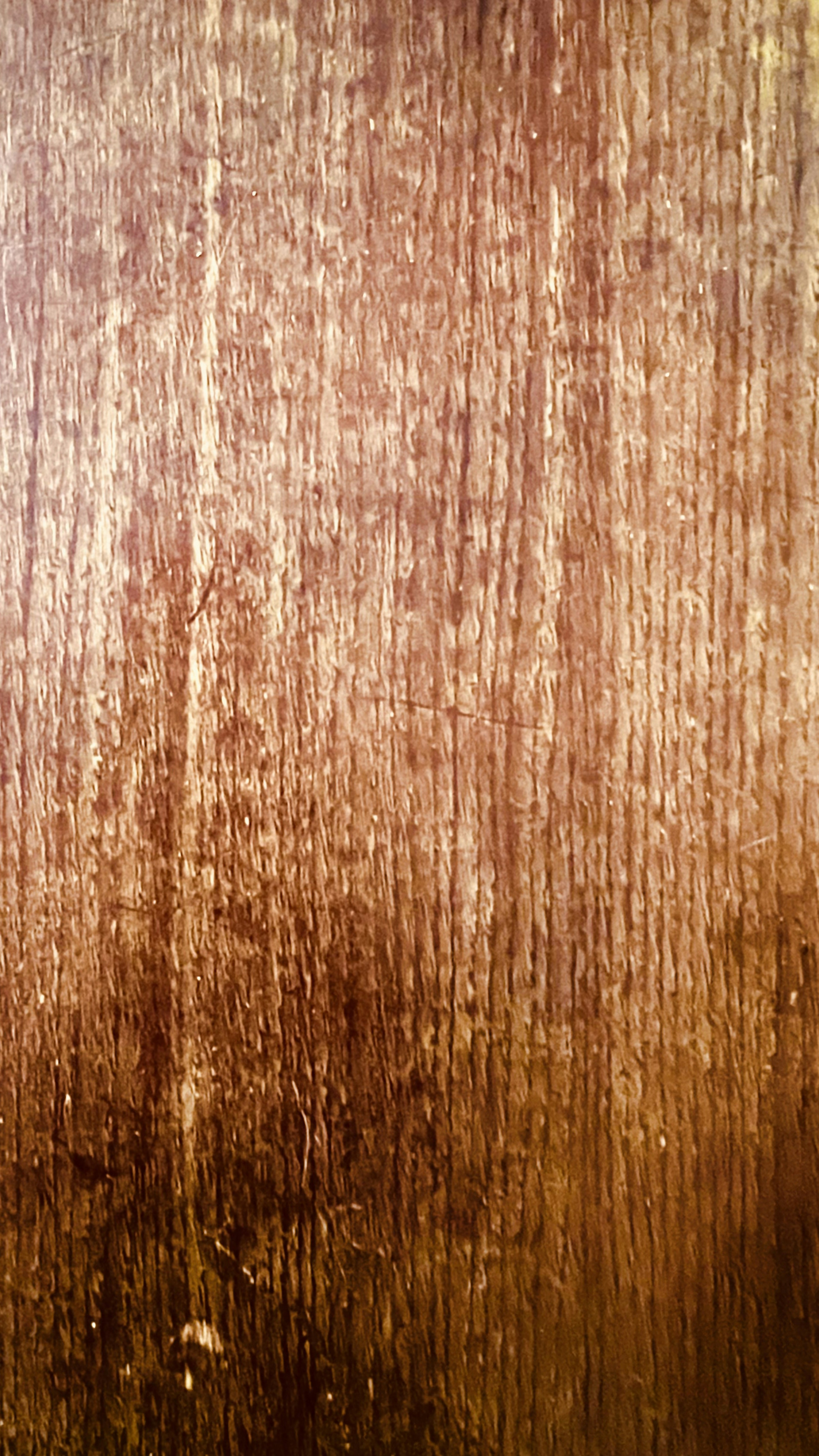 Hermosa textura y color de fondo de madera