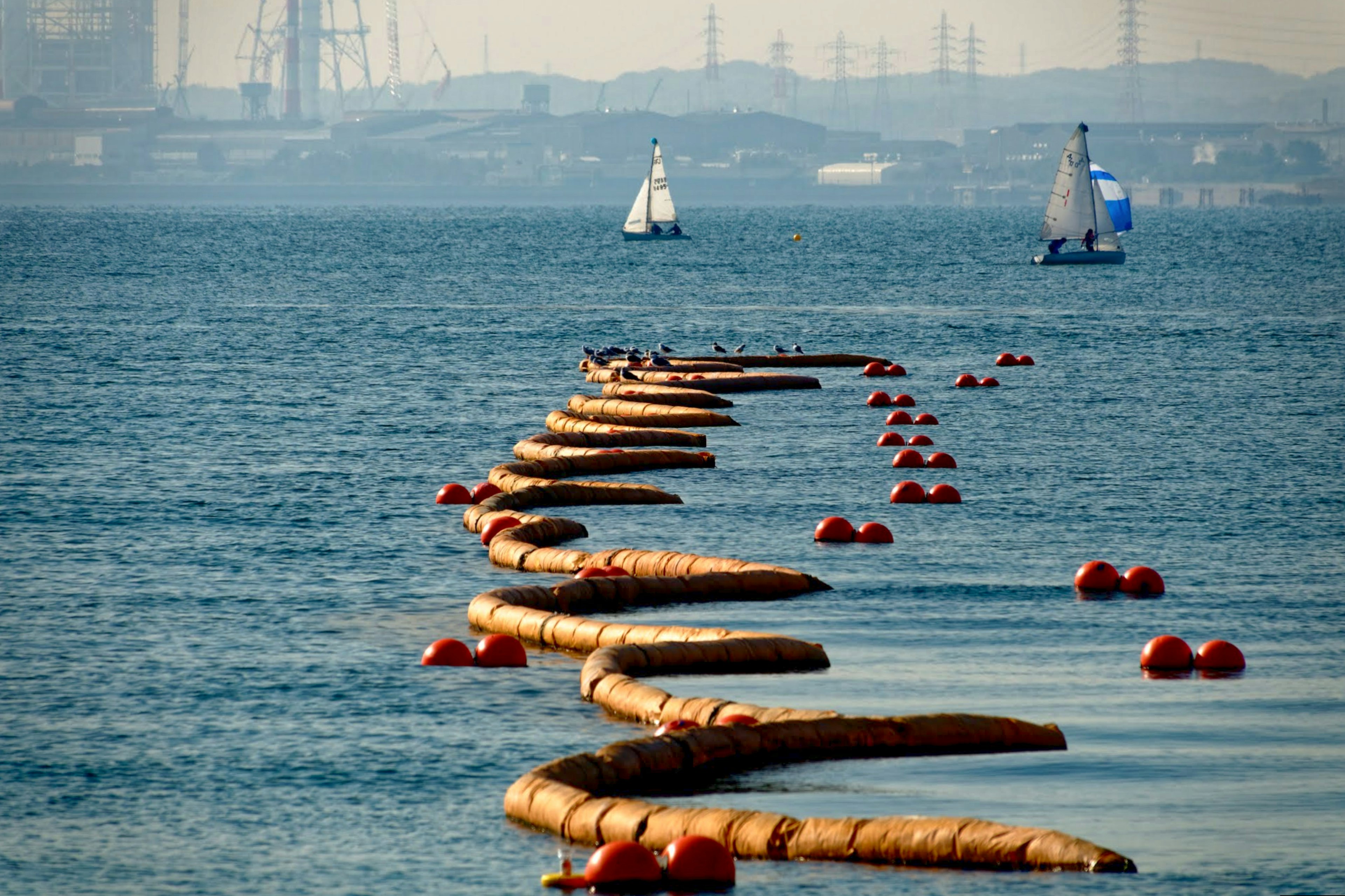 Vue pittoresque de bouées flottantes et de voiliers sur l'eau