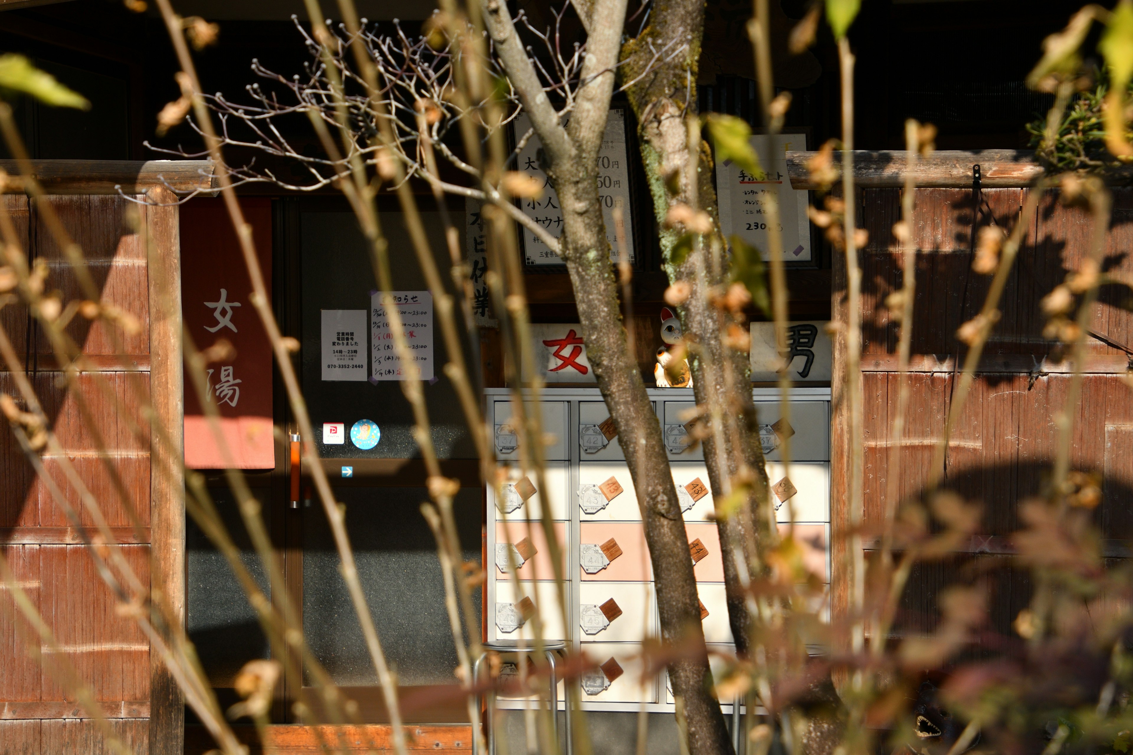 Vue de l'intérieur d'un bâtiment japonais traditionnel à travers des arbres, lumière chaude filtrant