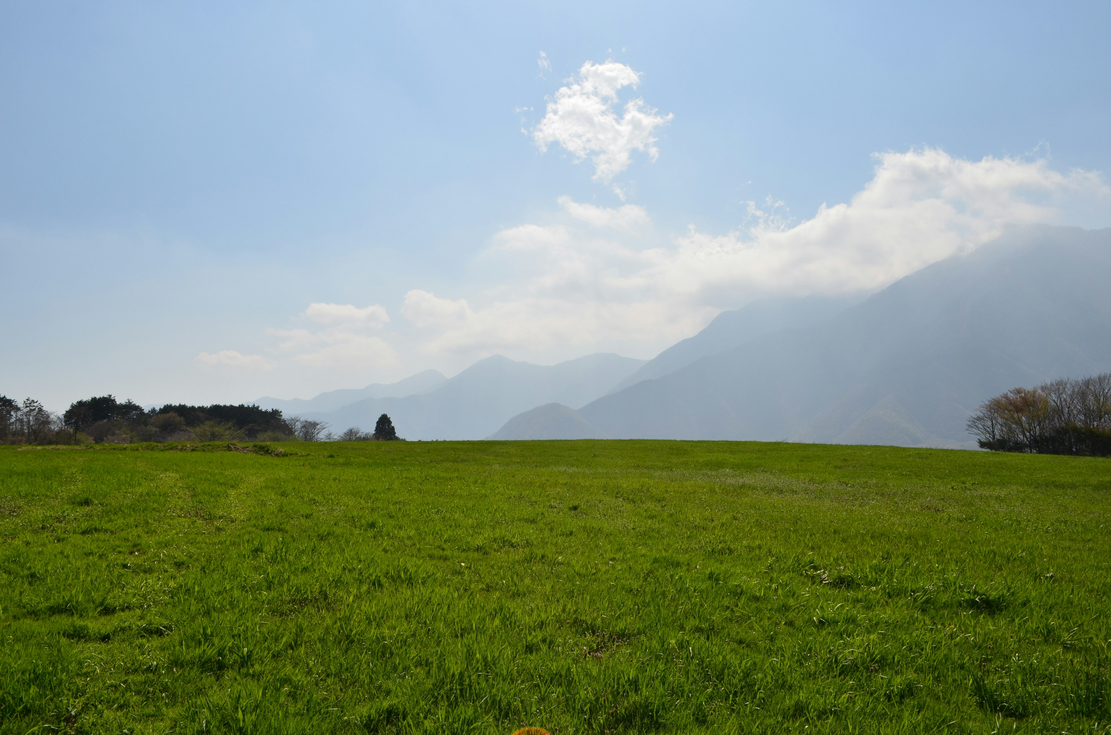 Lush green meadow with distant mountains under a blue sky with scattered clouds