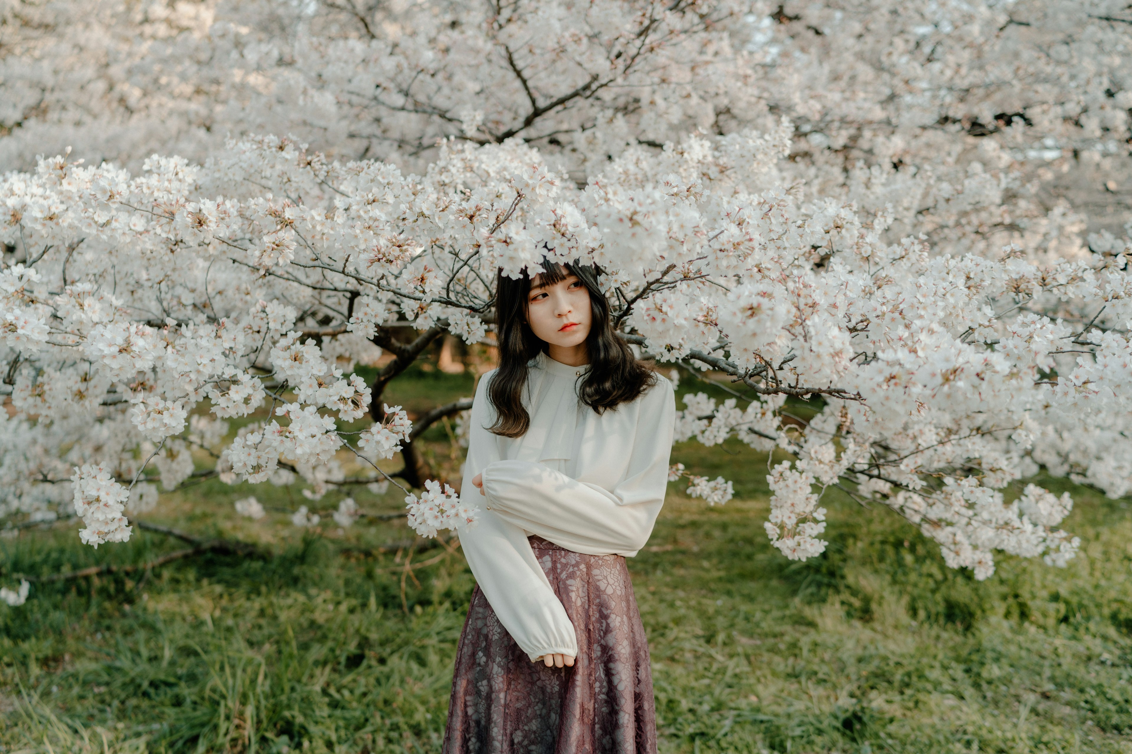 桜の木の下に立つ女性の肖像 花びらが舞う中での穏やかな表情