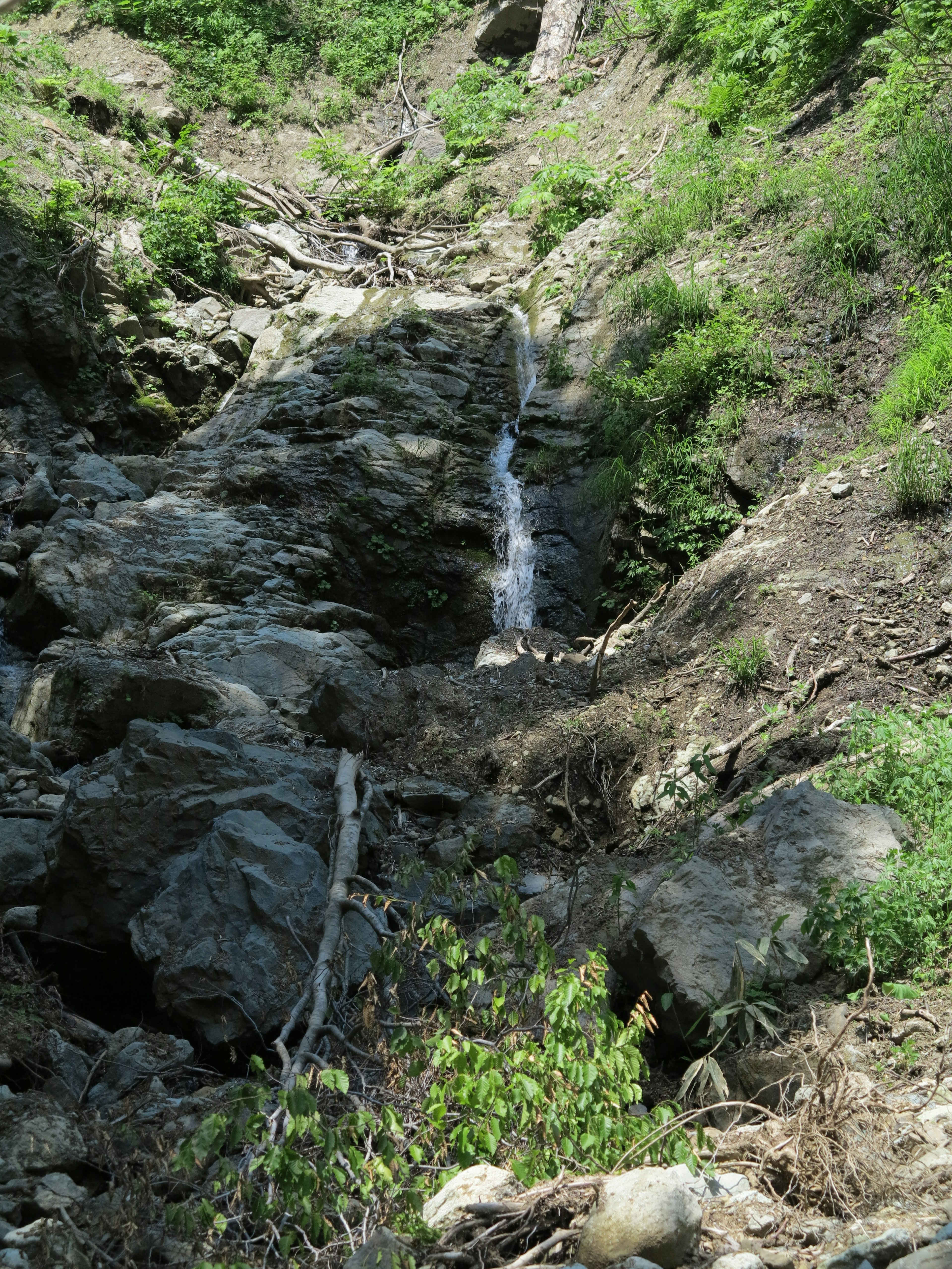 Kleiner Wasserfall, der zwischen Felsen und Grün fließt