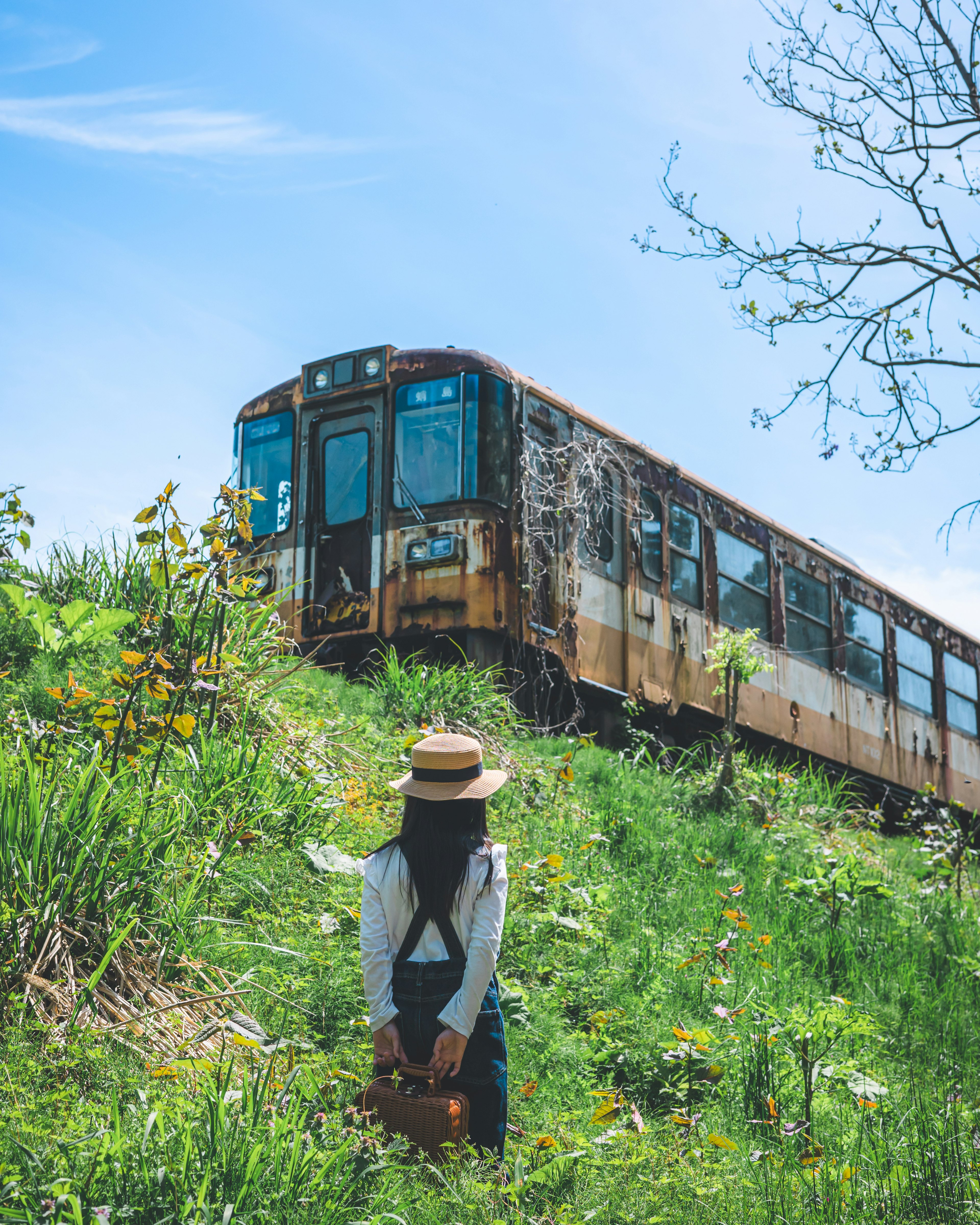 草原の中に立つ女性と古い列車