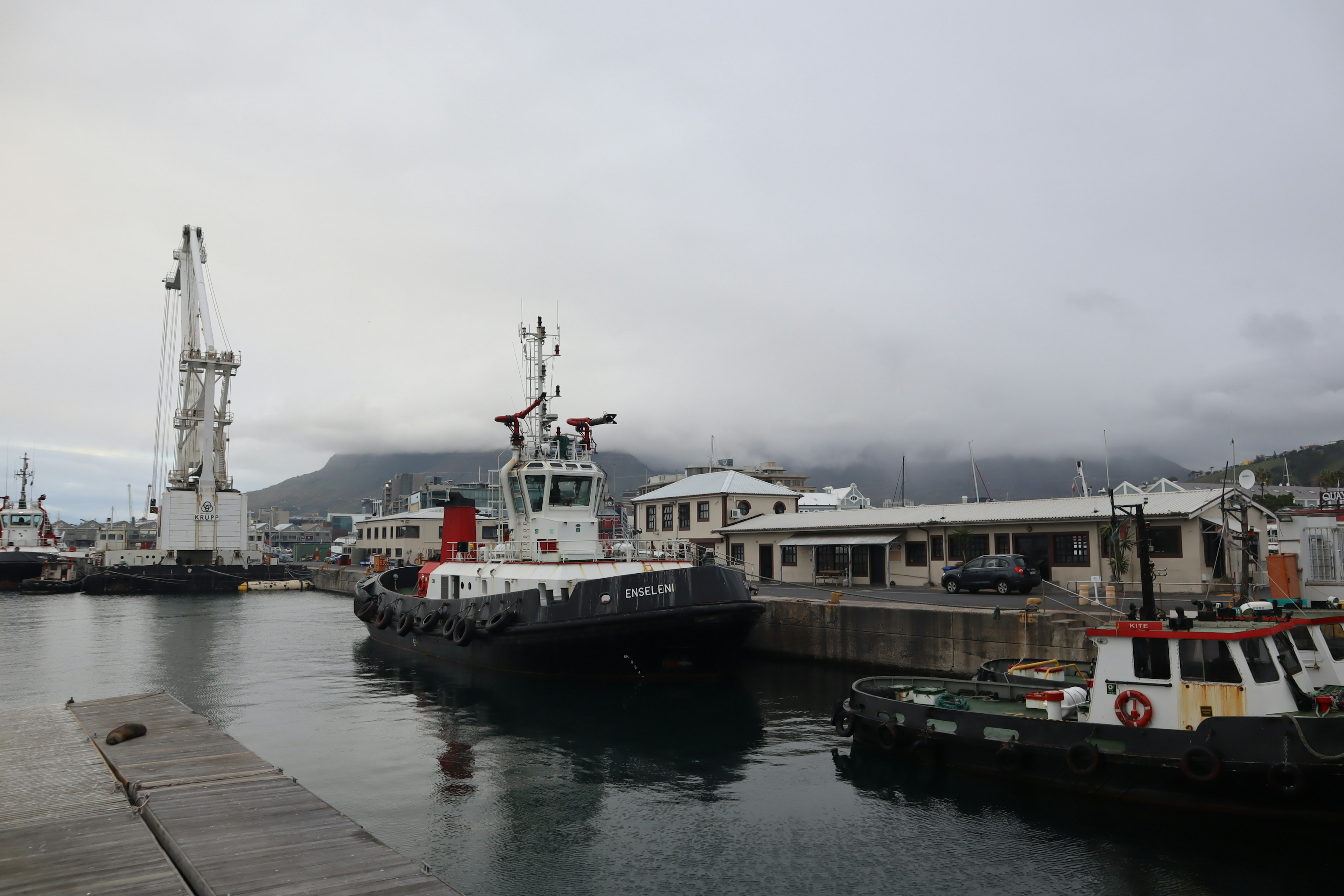 View of tugboats and vessels docked at the harbor