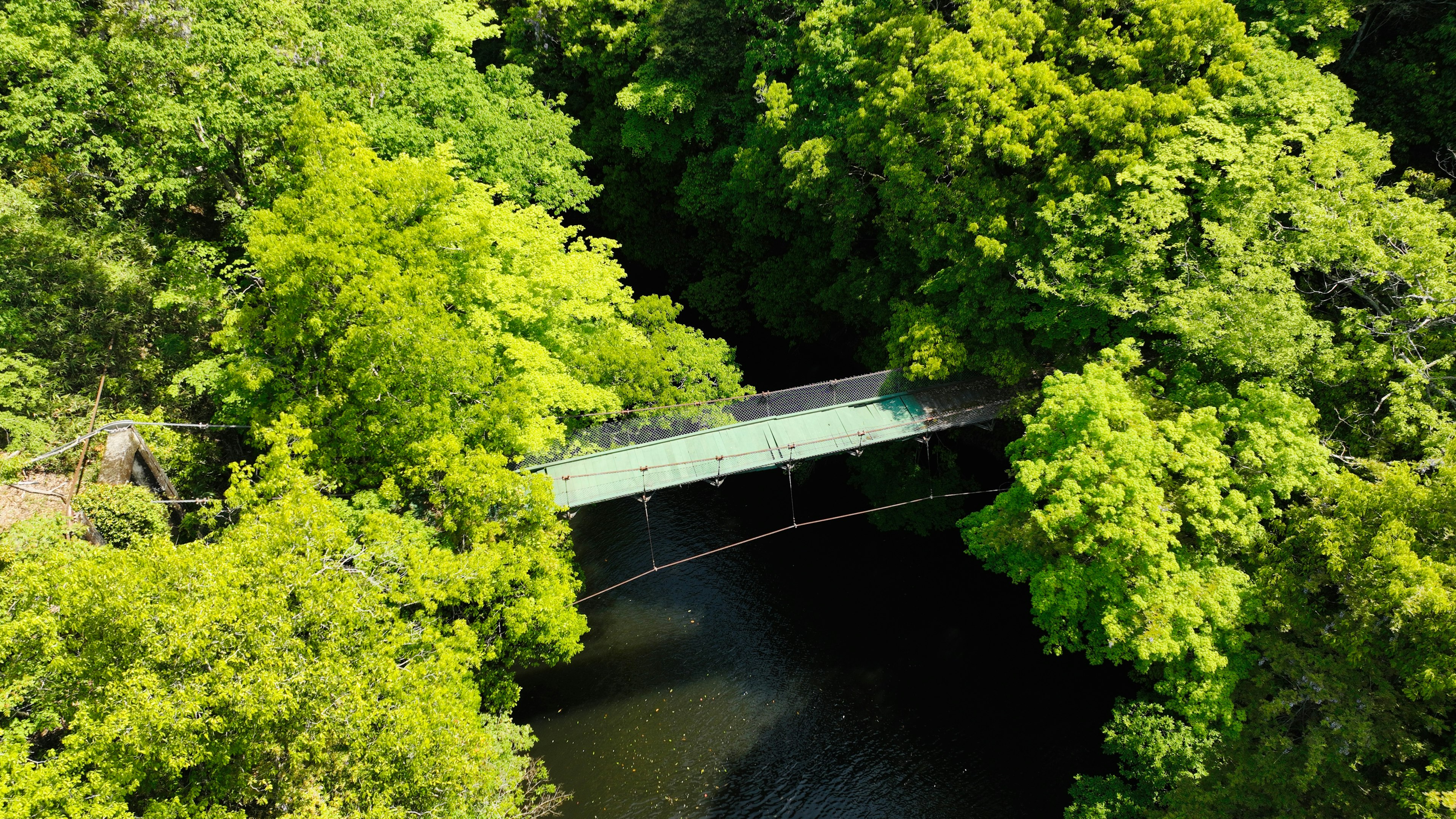 Vista aérea de un pequeño puente rodeado de árboles verdes exuberantes sobre un río que fluye