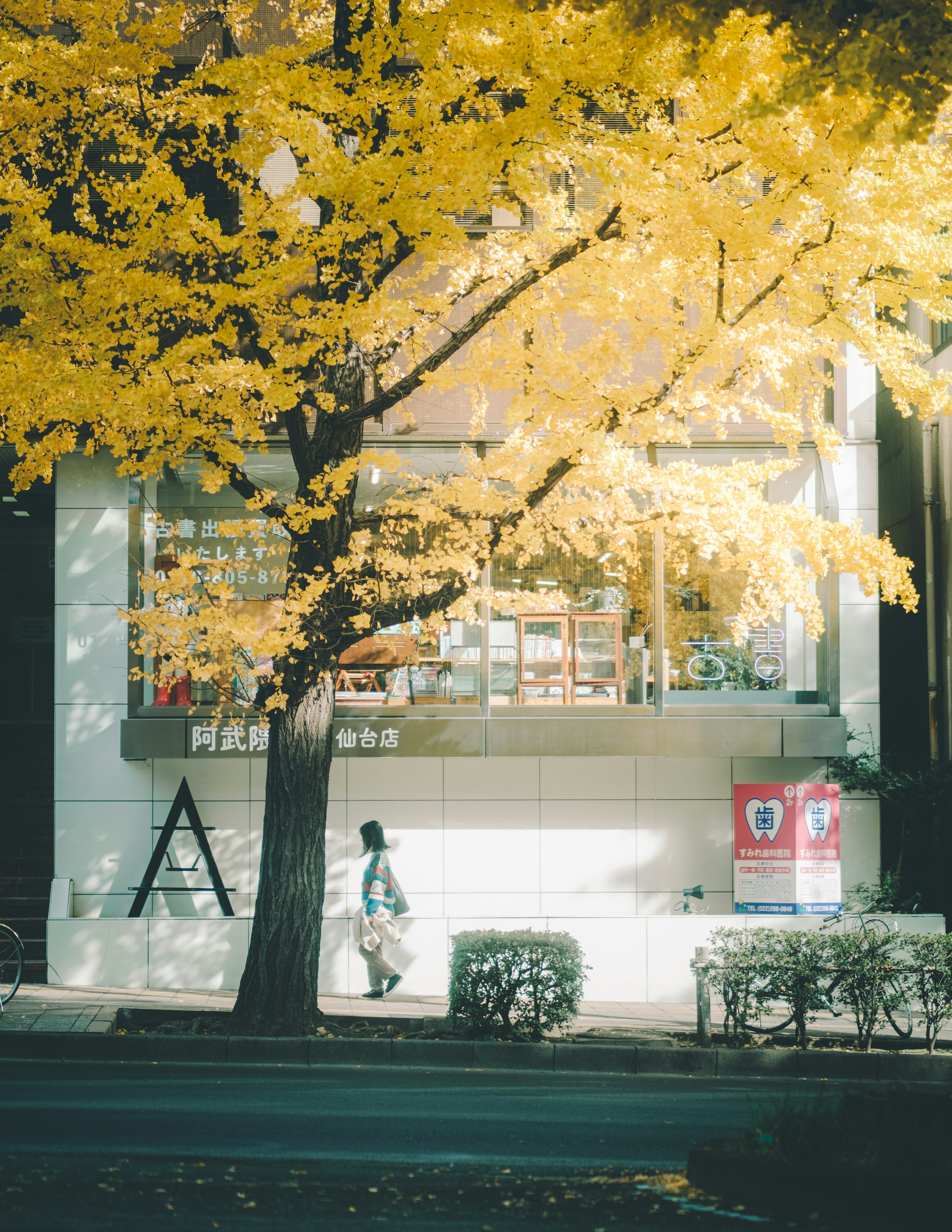 黄色の葉を持つ大きな木とその下を歩く人が映る街の風景