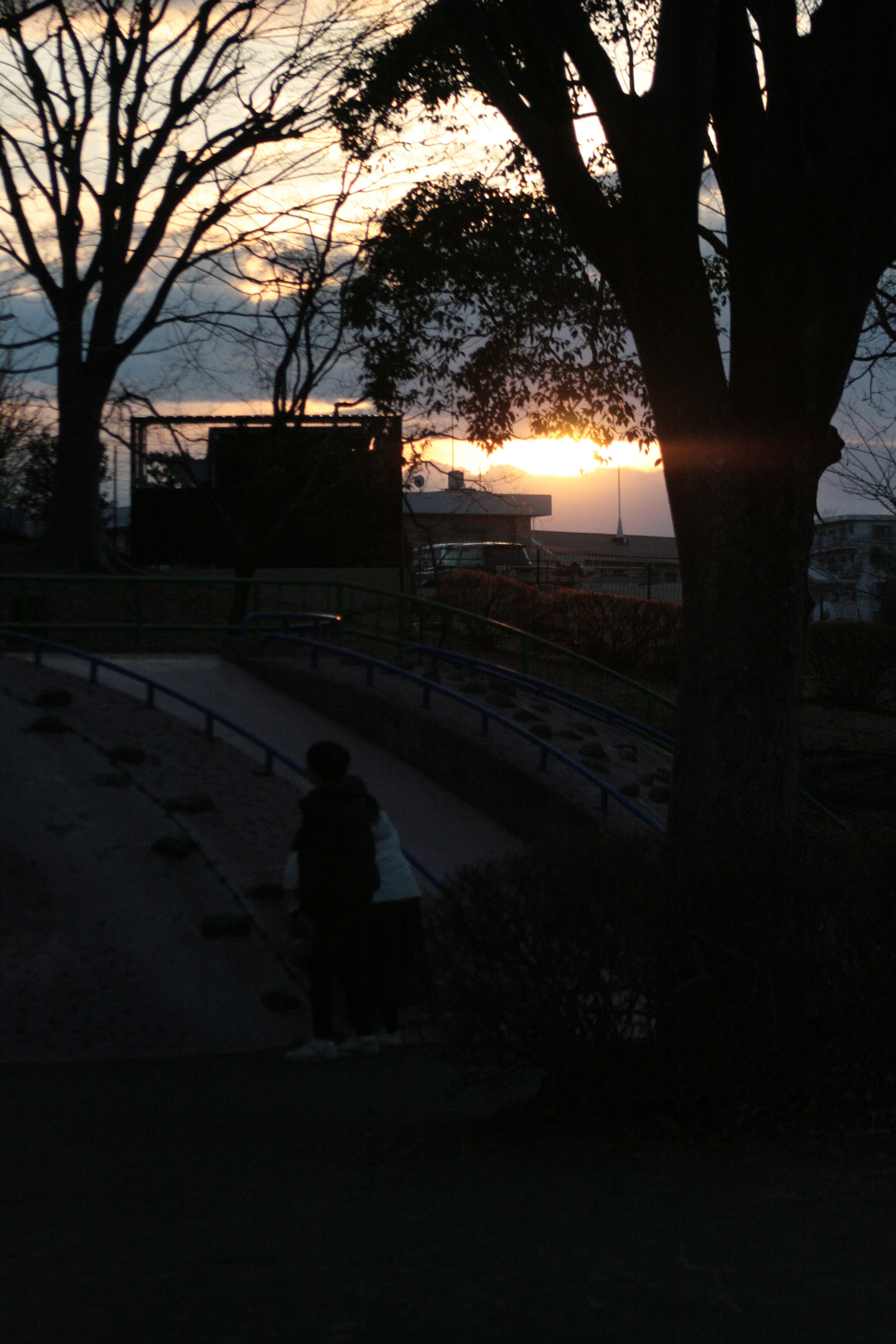 夕日が照らす公園のシルエットと木々の風景