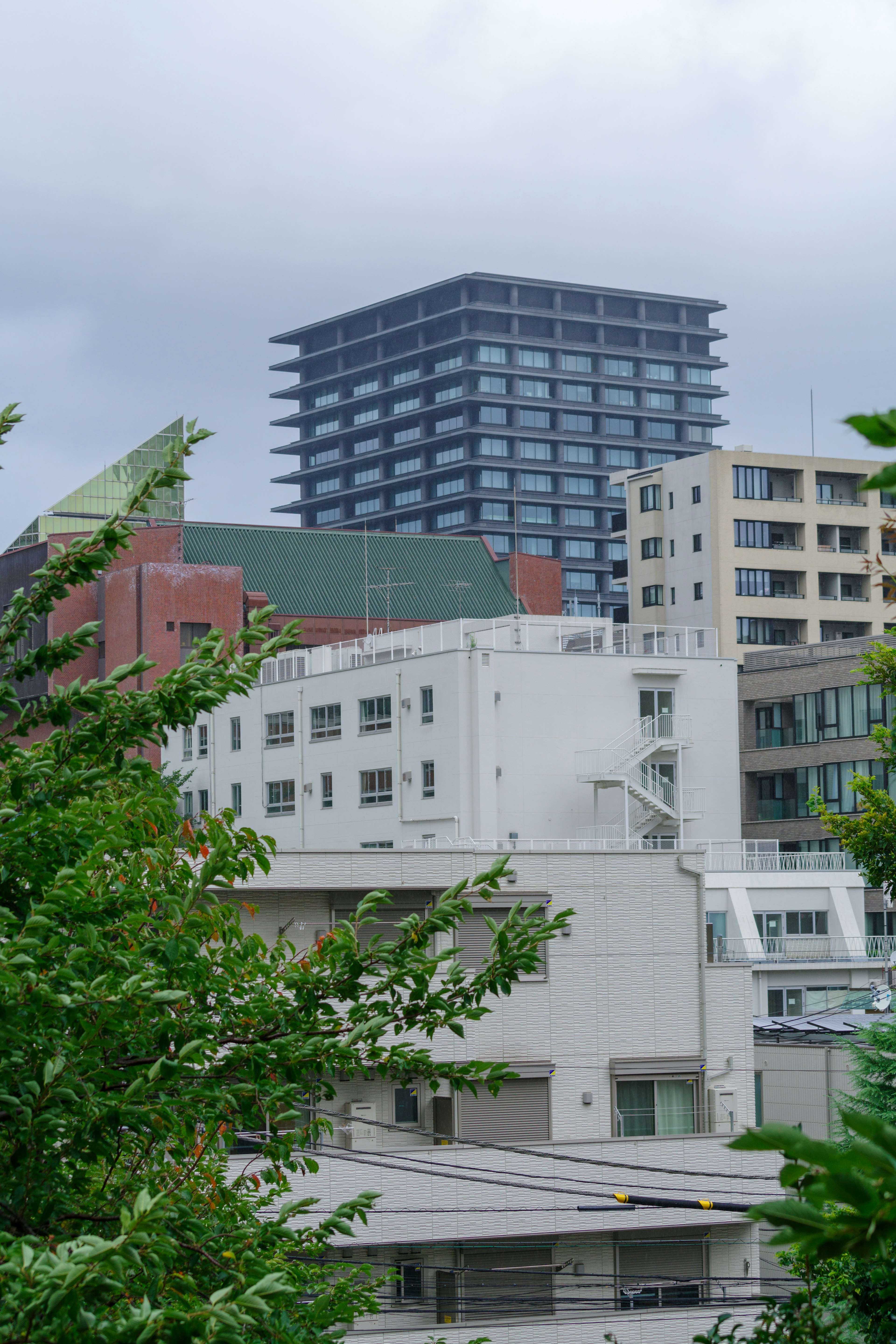 City skyline featuring modern buildings and greenery