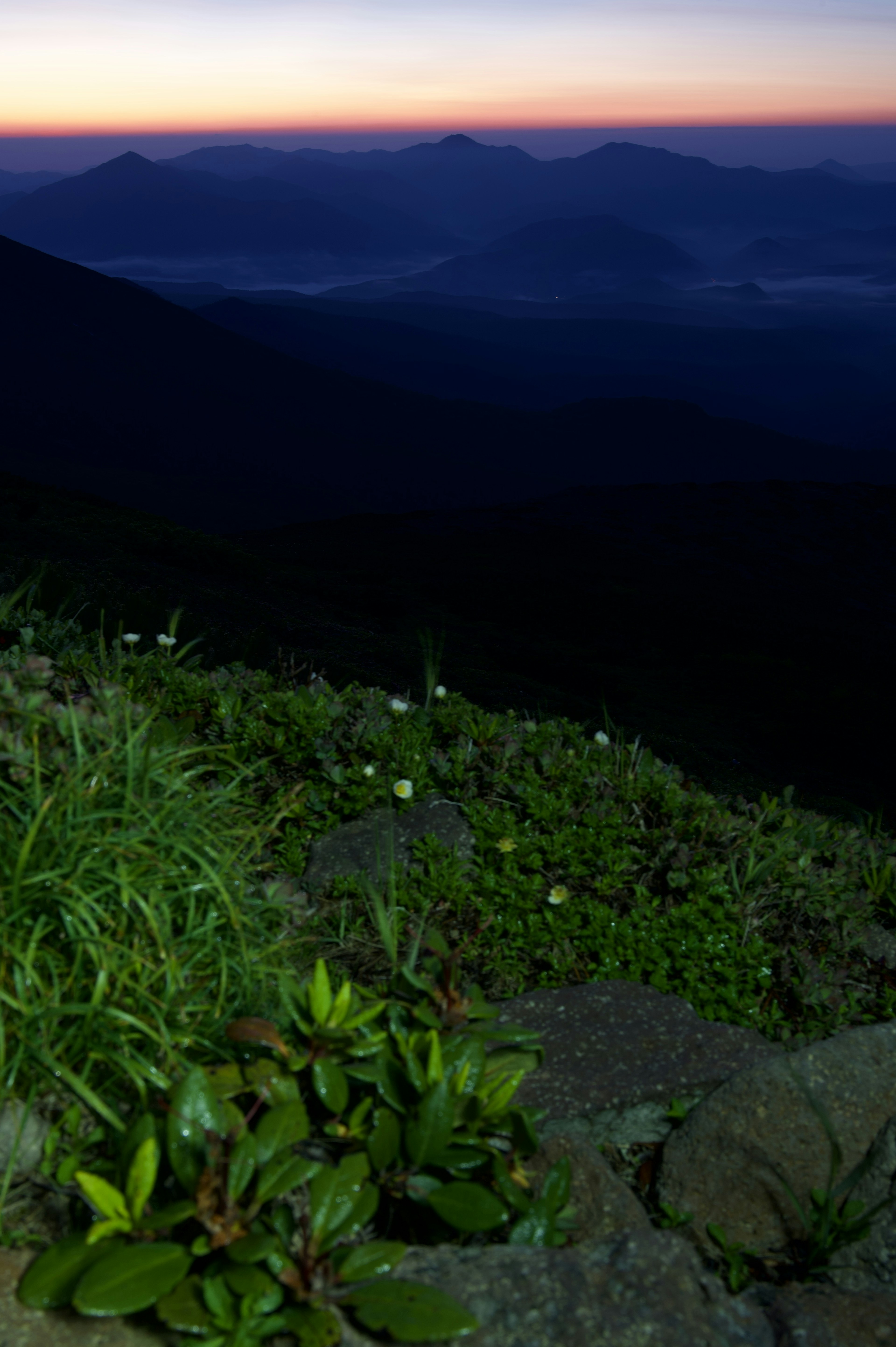 Beautiful mountain landscape at sunset with green foliage