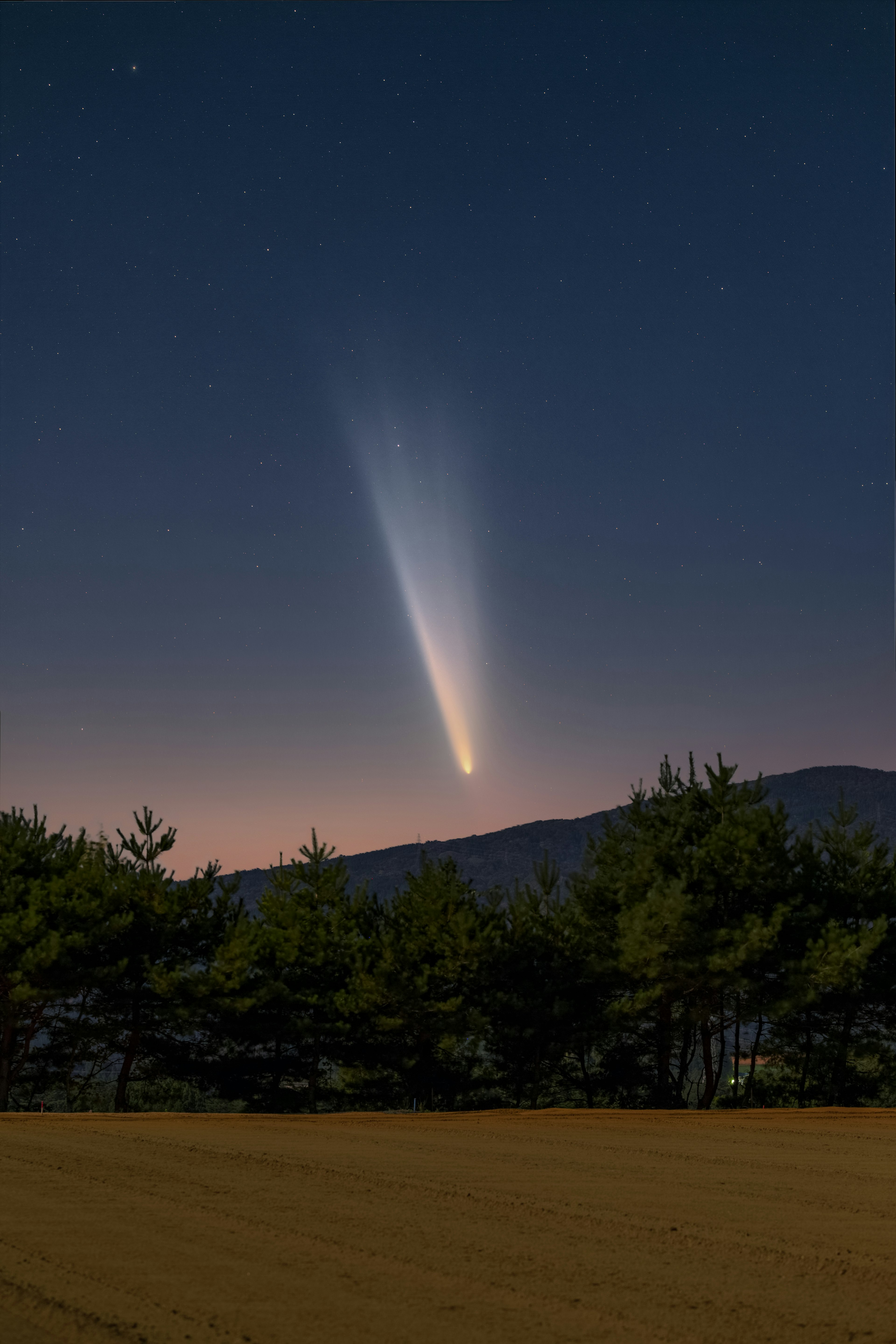 夜空に輝く彗星と木々のシルエット