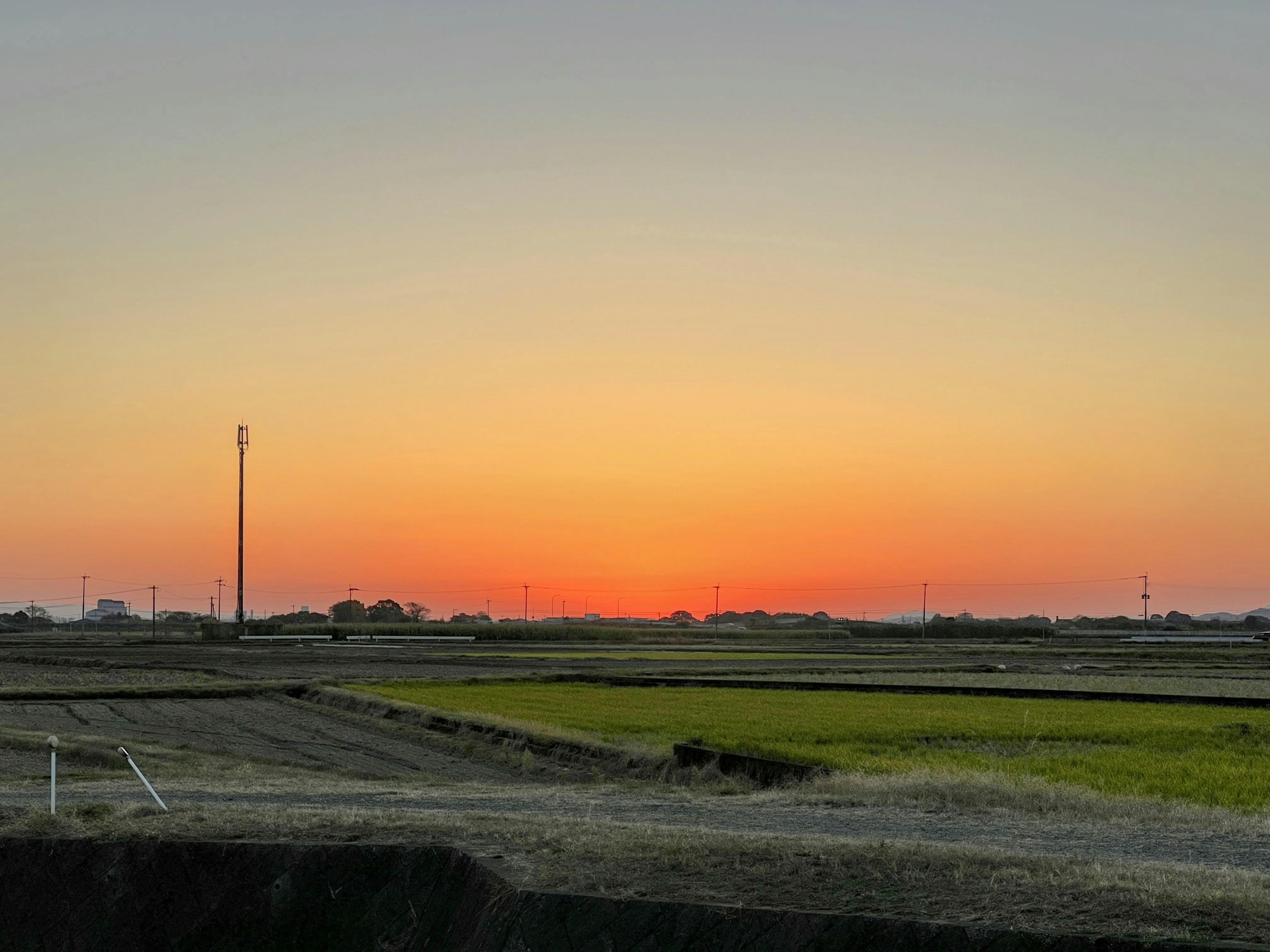 Hermoso paisaje rural iluminado por el atardecer