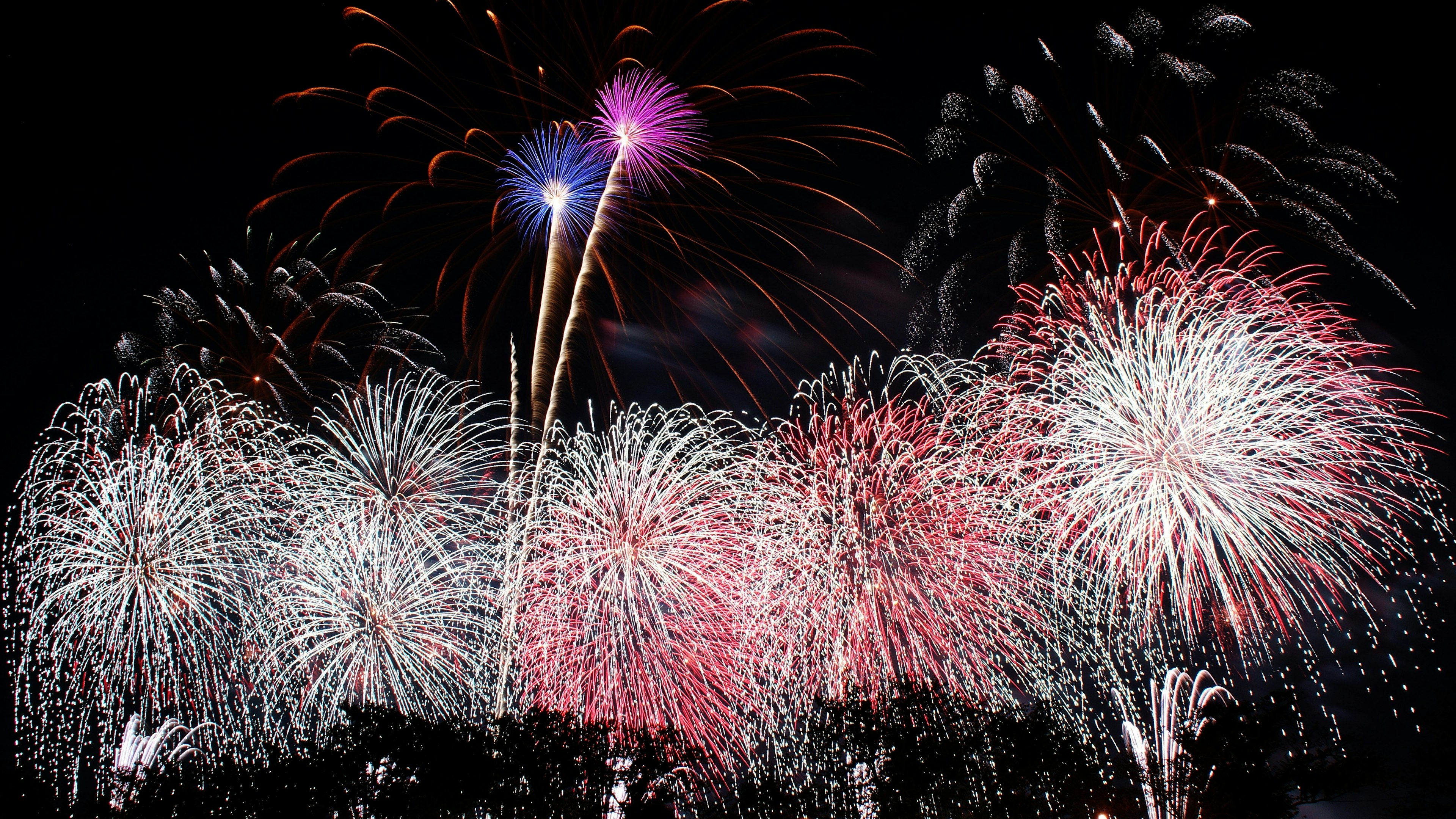 Colorful fireworks display in the night sky