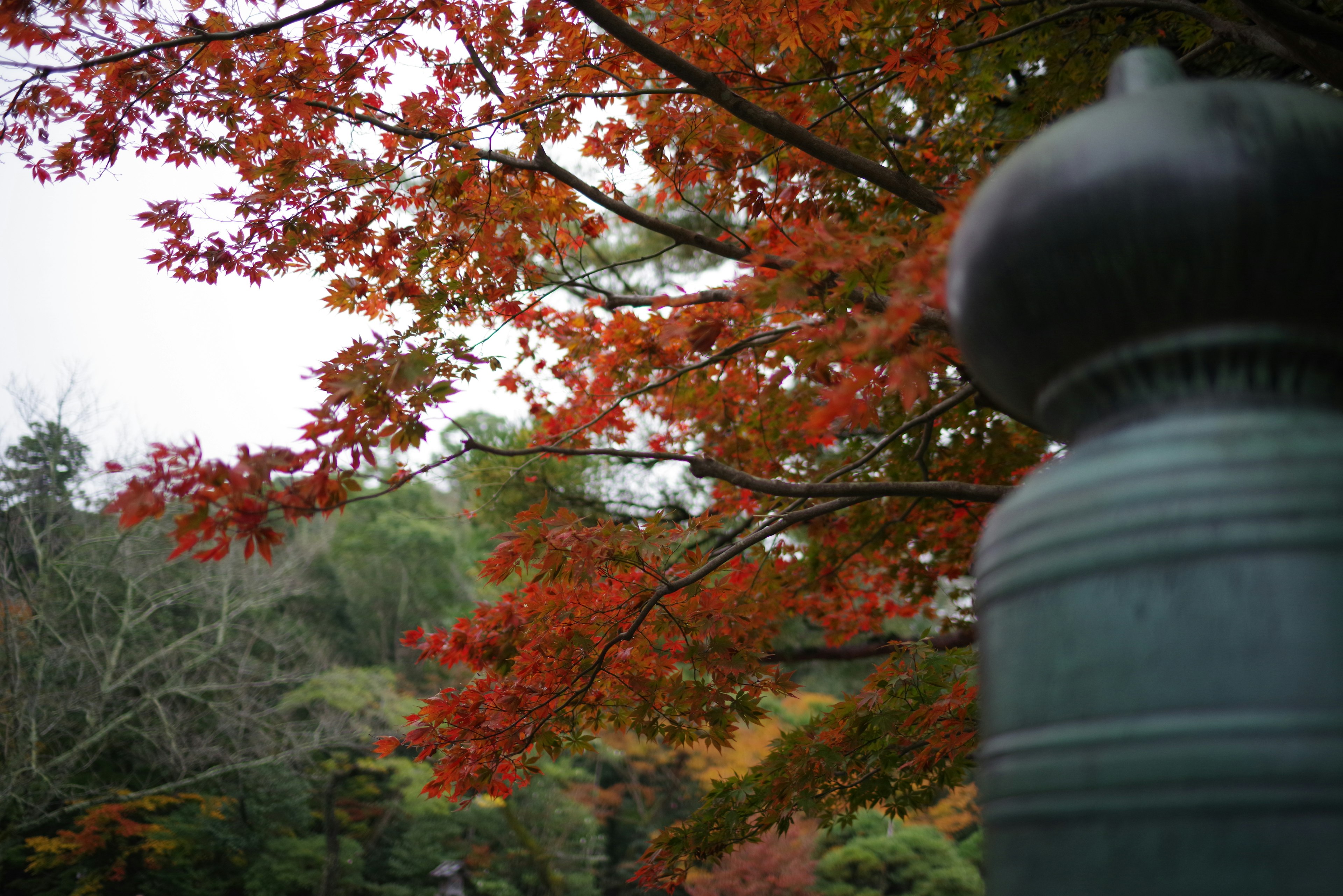 A serene view featuring autumn foliage and a bronze lantern