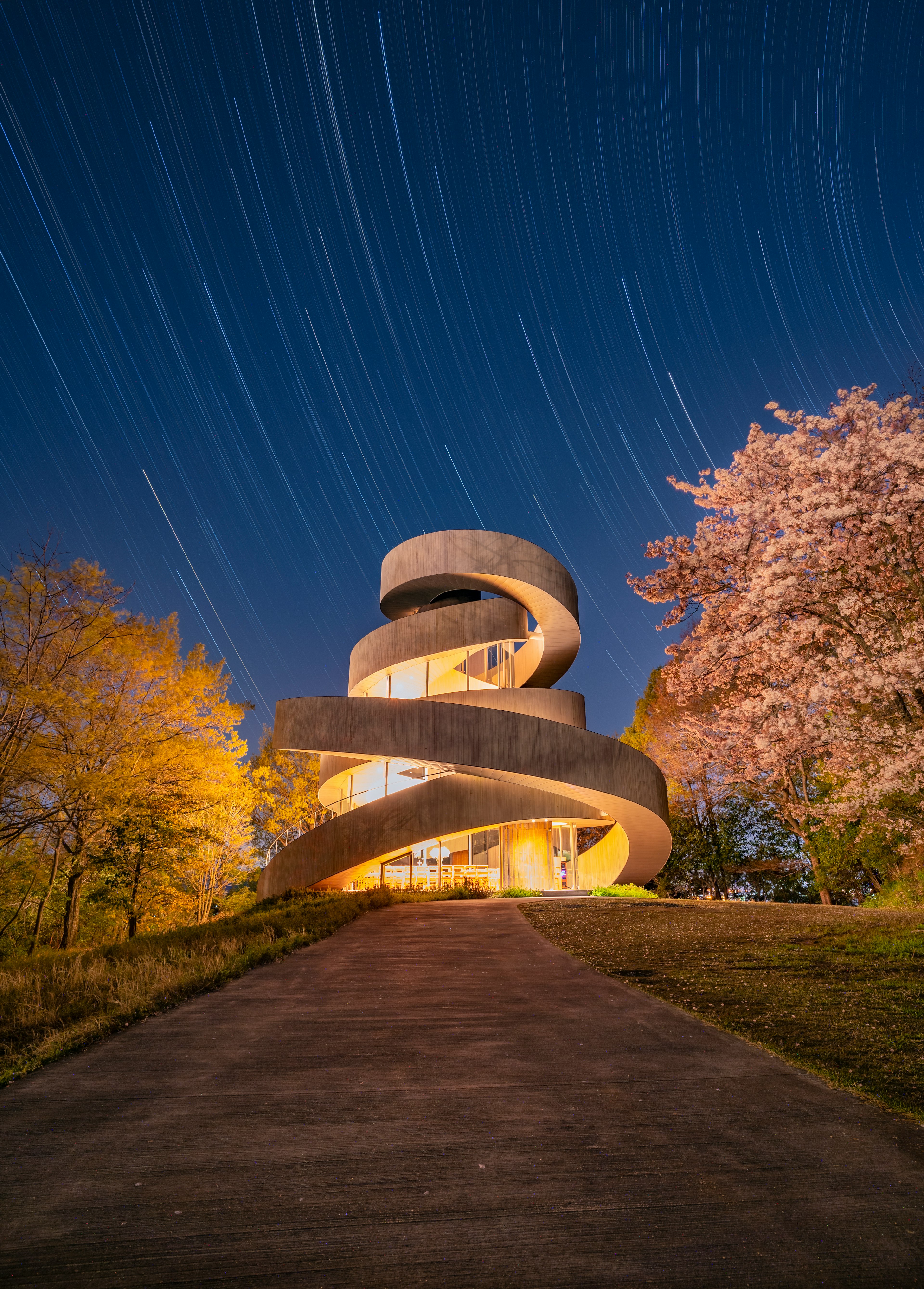 Spiral building illuminated at night with star trails and cherry blossom trees