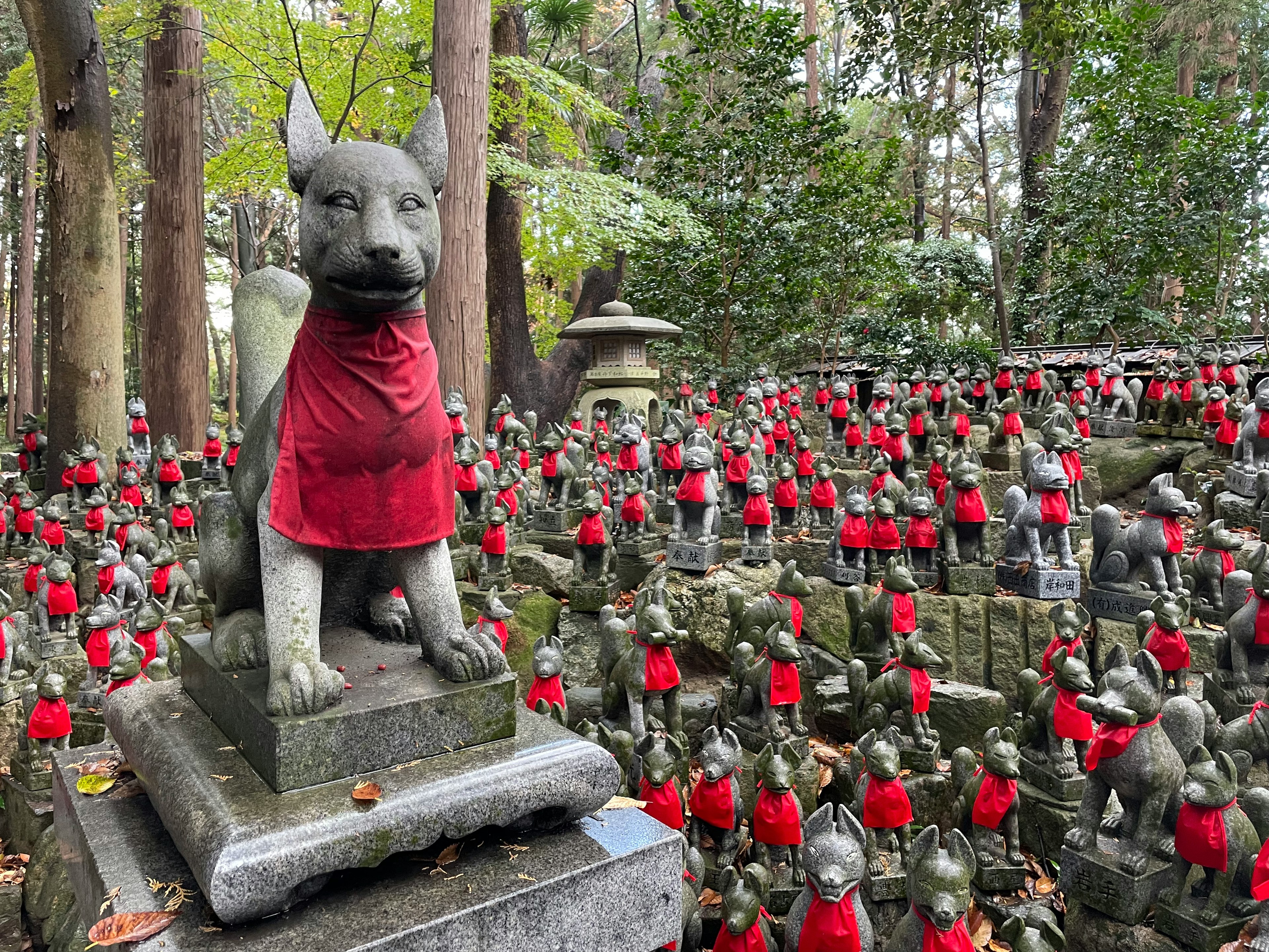 Una escena de un santuario con una estatua de perro de piedra vestida de rojo rodeada de muchas estatuas de perro más pequeñas