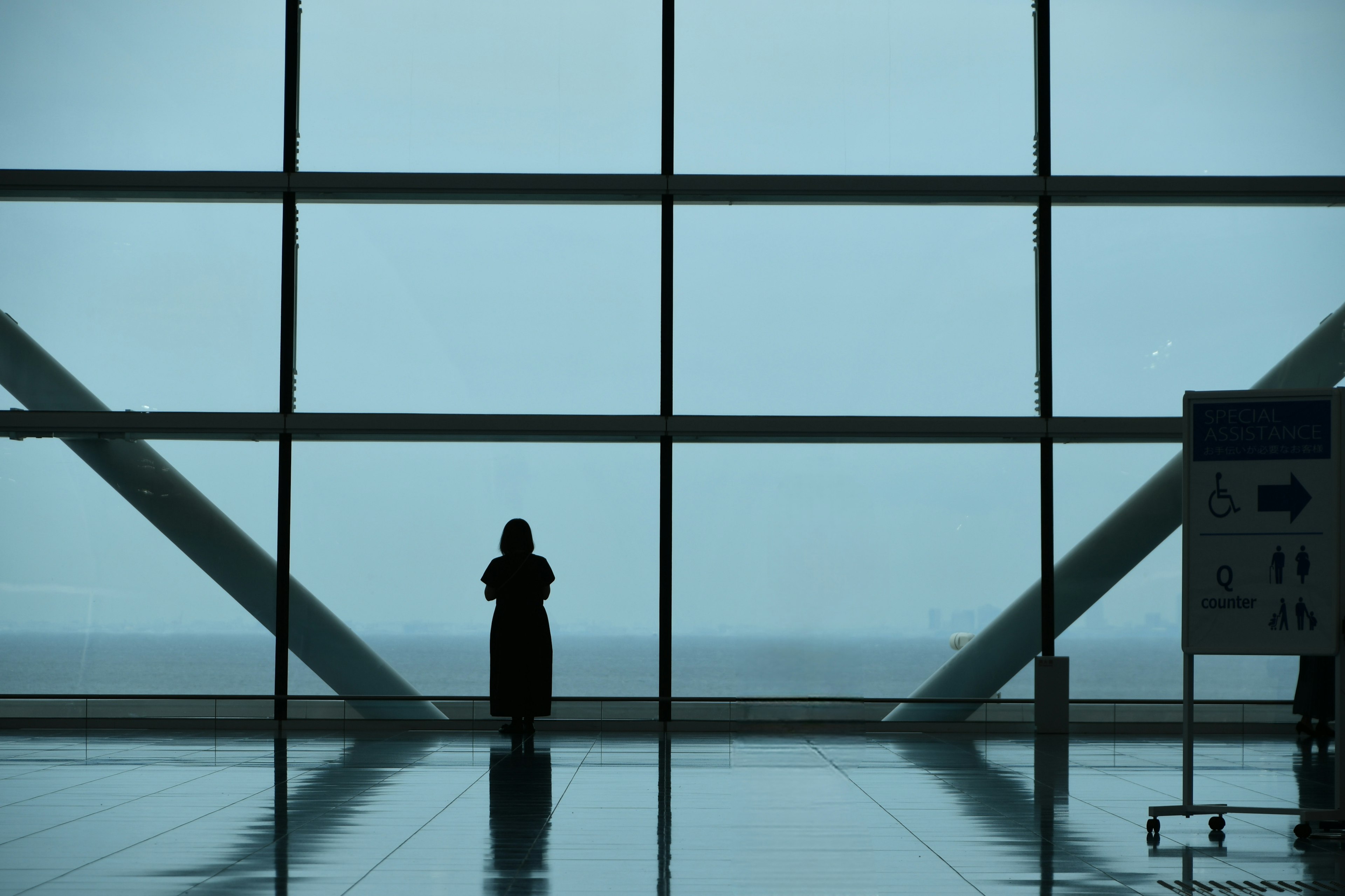 Silhouette of a person standing in front of large windows overlooking the sea