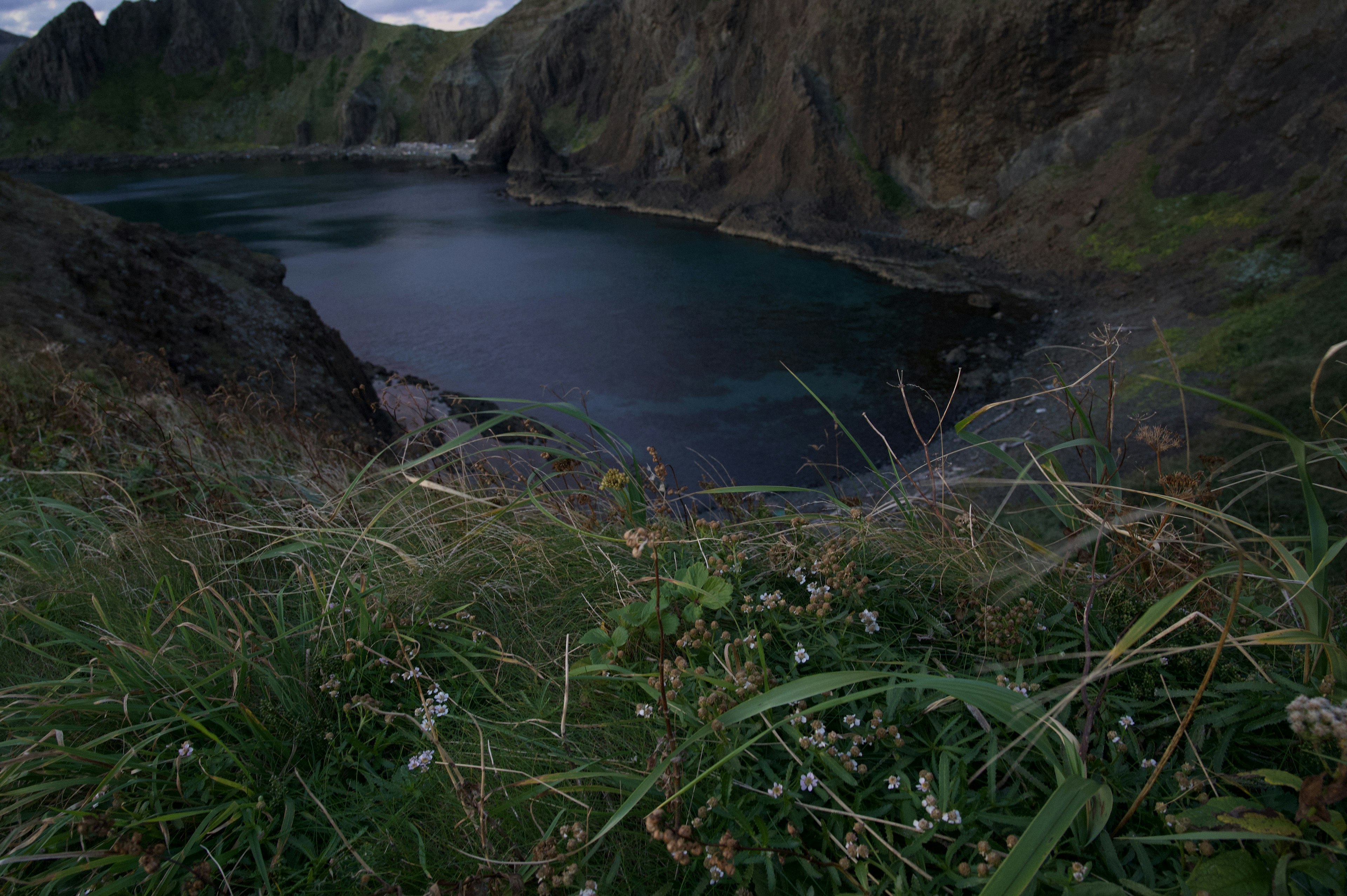 美しい山々に囲まれた静かな湖の景色 前景には草と小さな花が見える