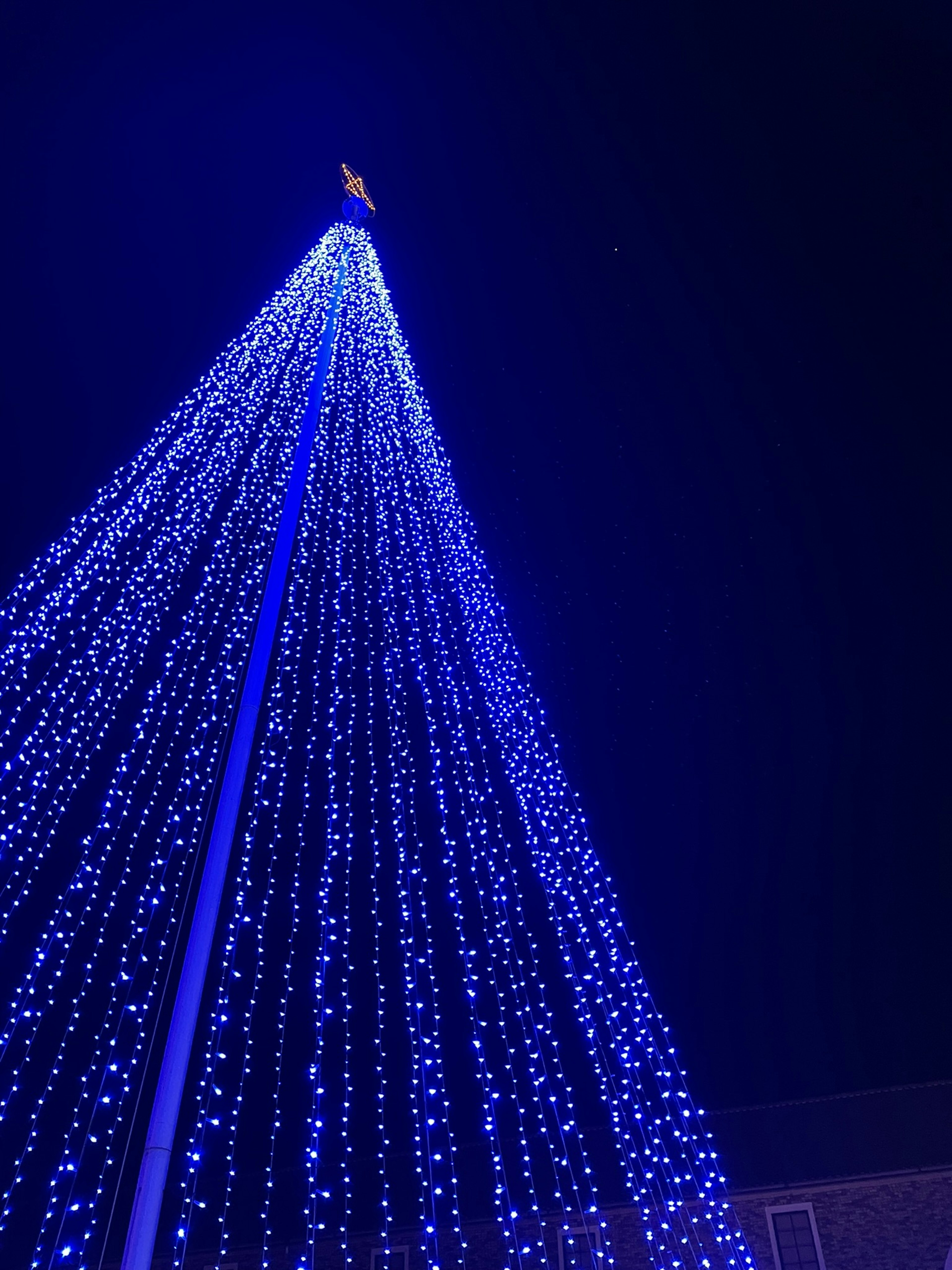 A Christmas tree adorned with blue lights featuring a shining star on top at night