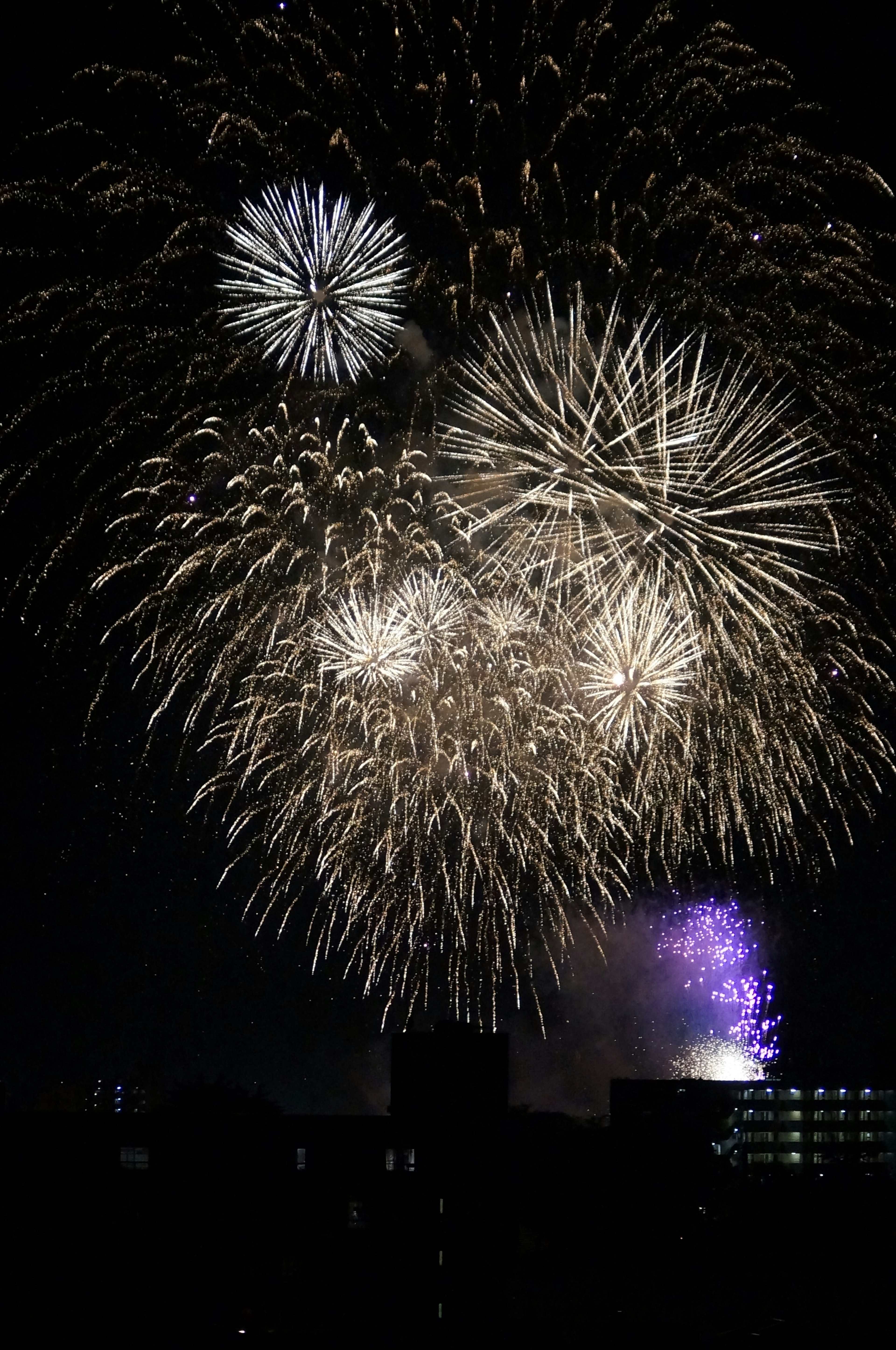 Spettacolo di fuochi d'artificio nel cielo notturno con esplosioni bianche e viola