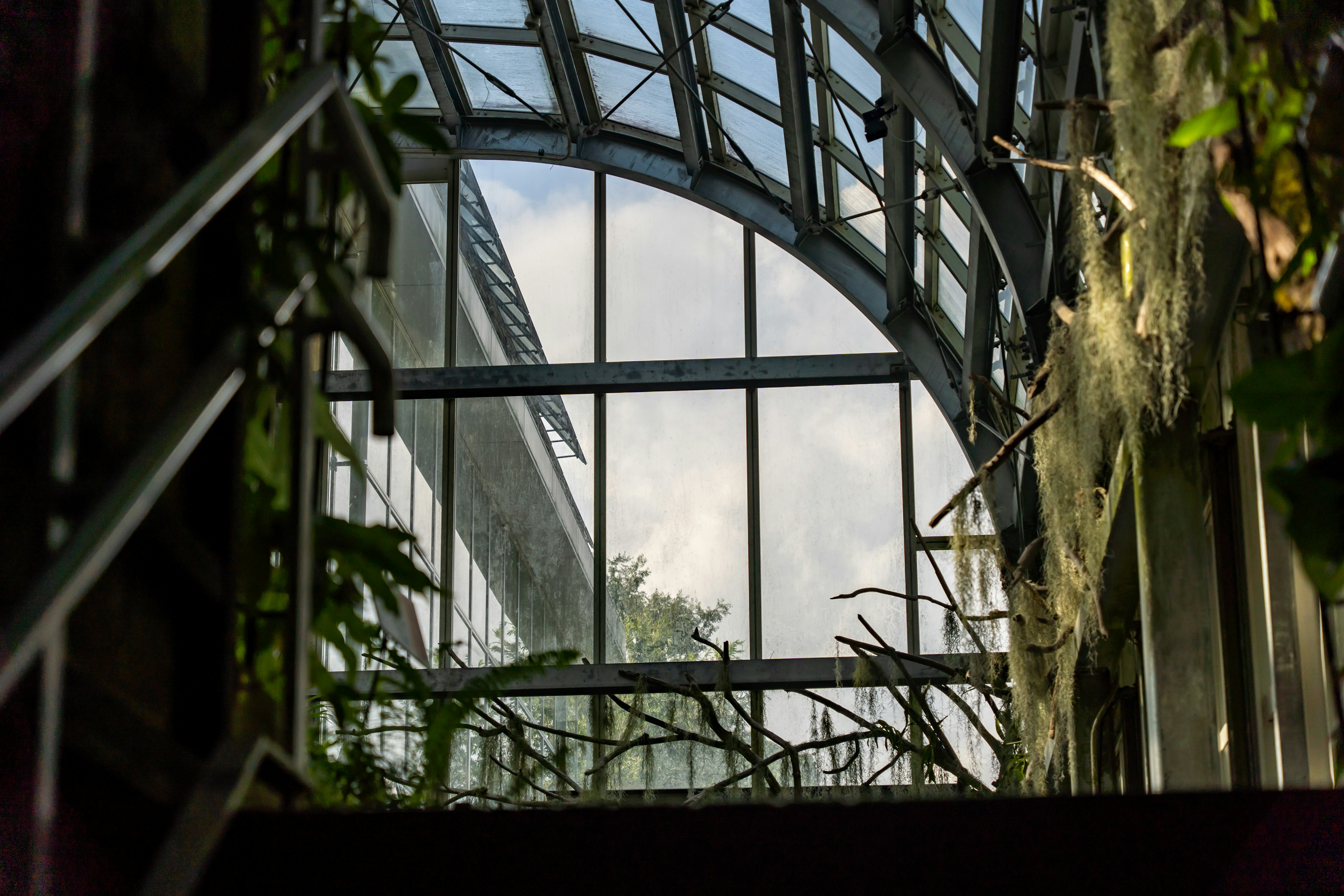 Innentreppenhaus umgeben von Glasdecke und Pflanzen