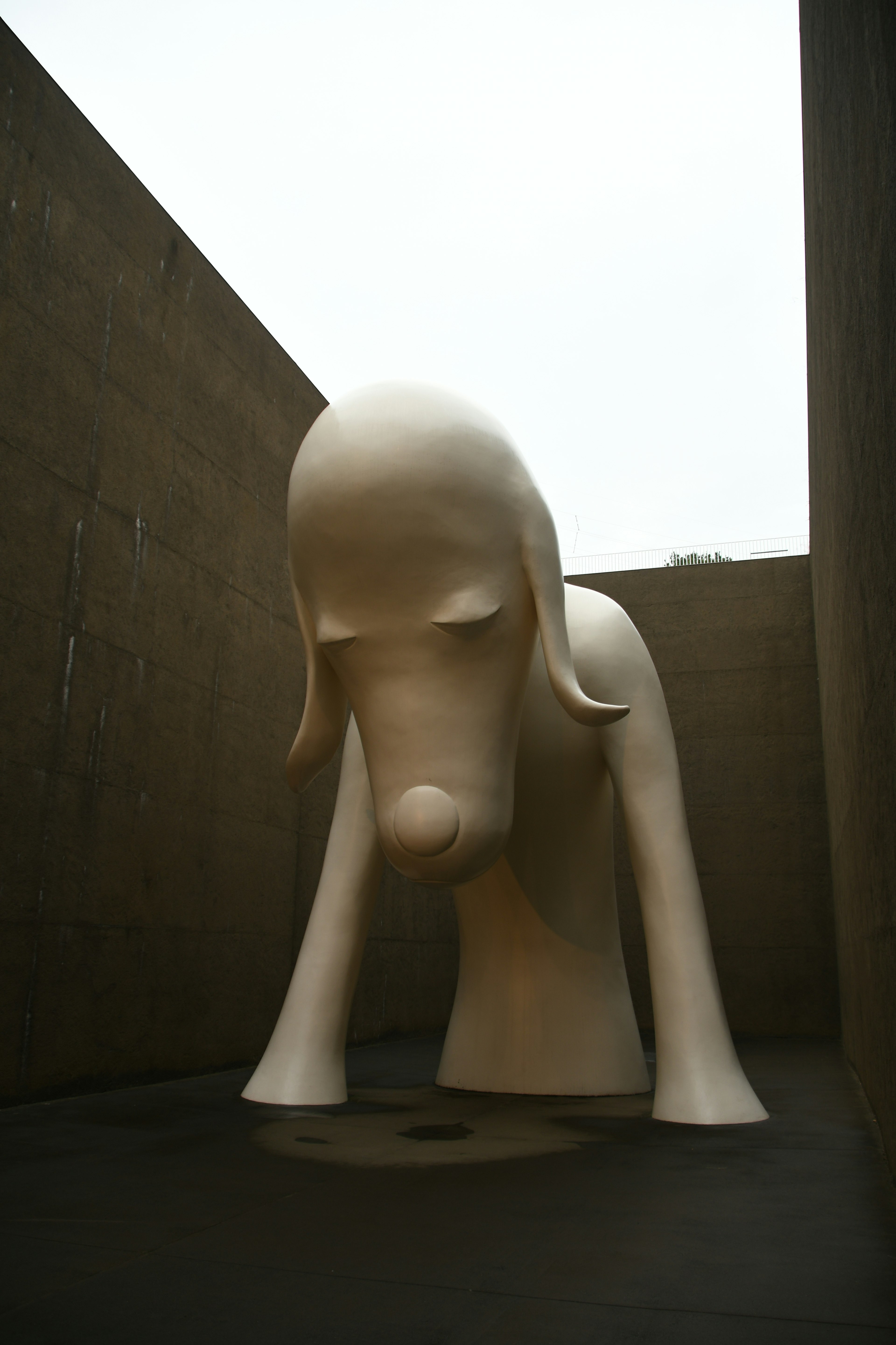 Giant white dog sculpture in an outdoor setting