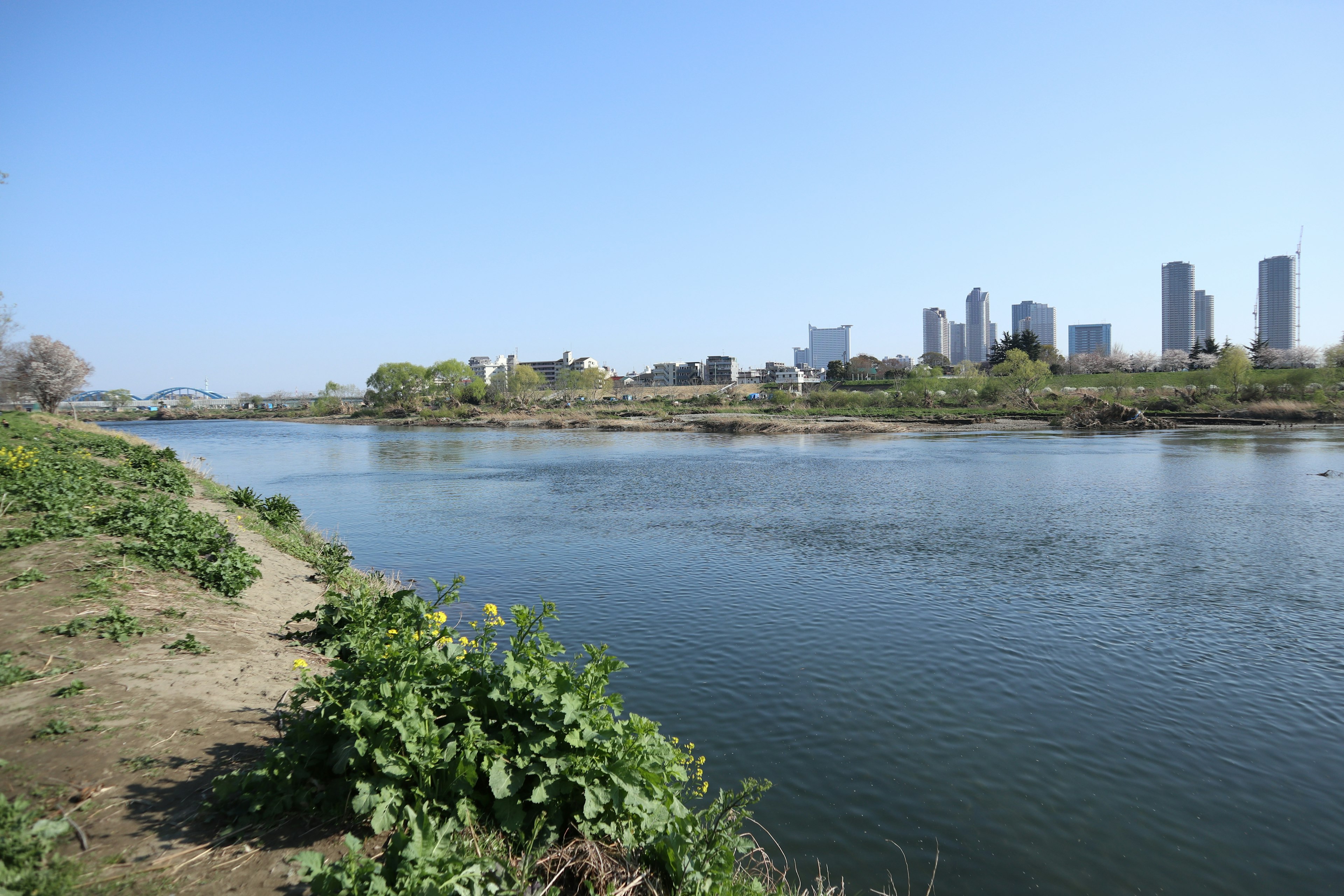 Vue pittoresque d'une rivière avec une ligne d'horizon de ville sous un ciel bleu clair