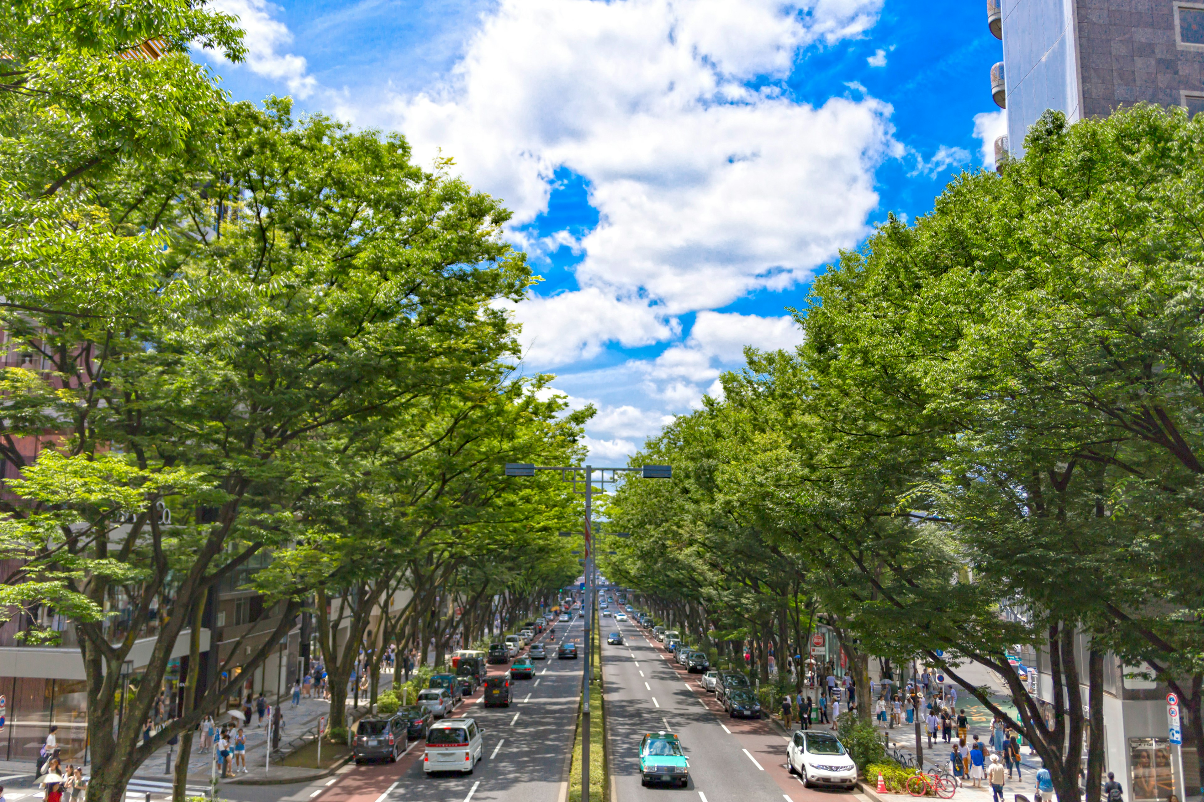 Una strada fiancheggiata da alberi verdi sotto un cielo blu con nuvole bianche