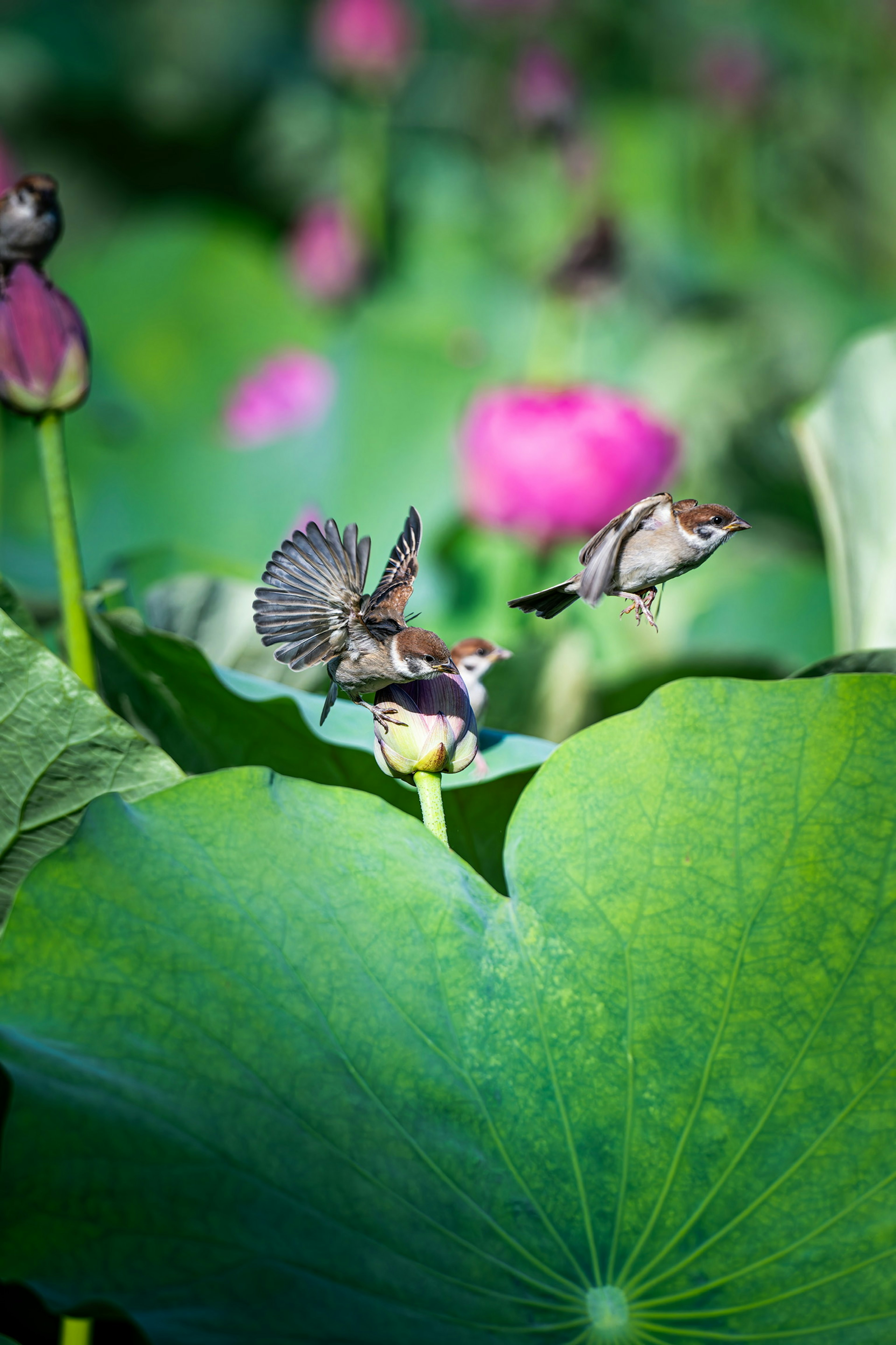 photo-wHGtduuzUYa6QF0LSjs7-image