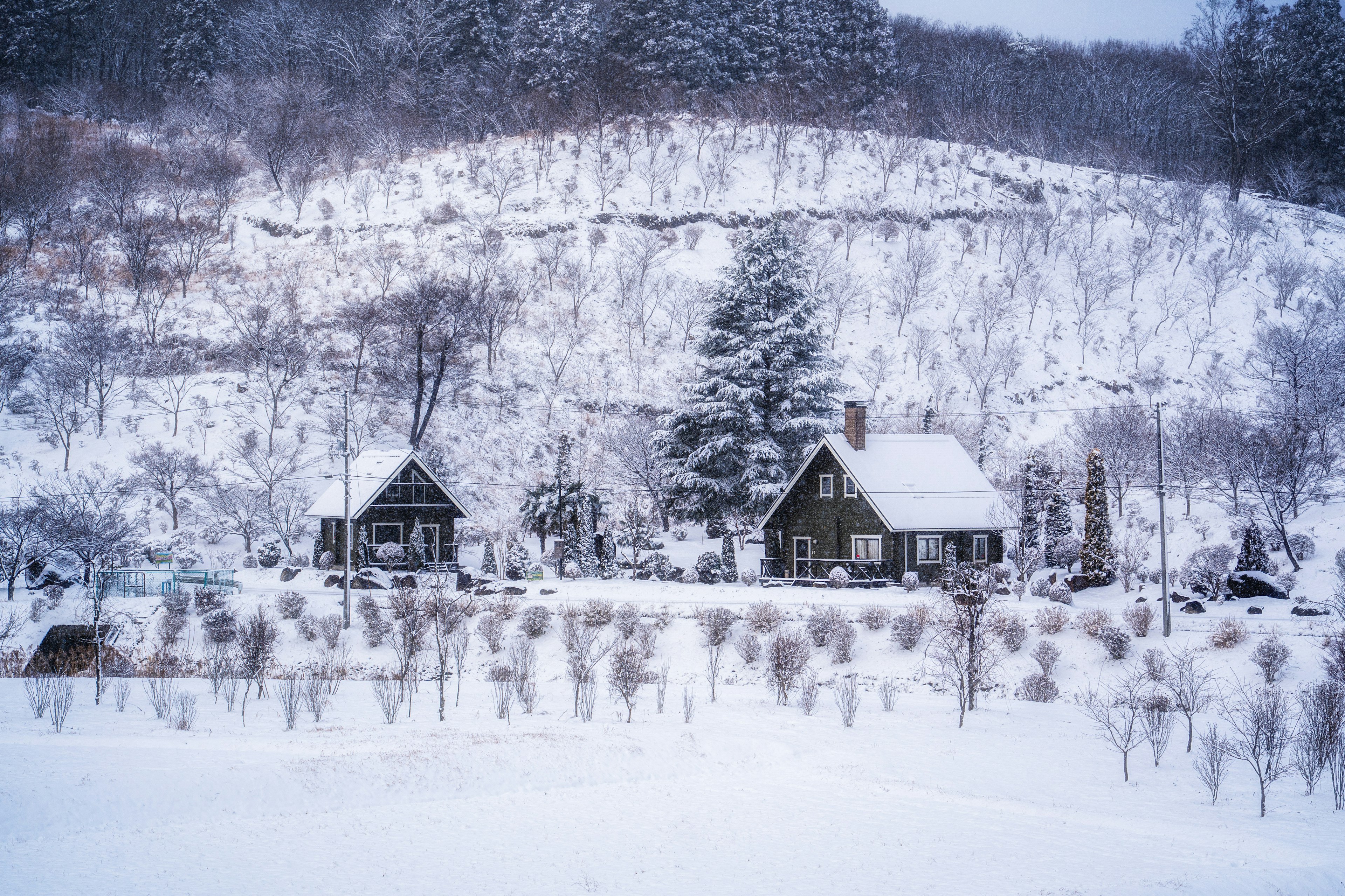 Zwei Häuser in einer verschneiten Landschaft mit Bäumen und Hügeln