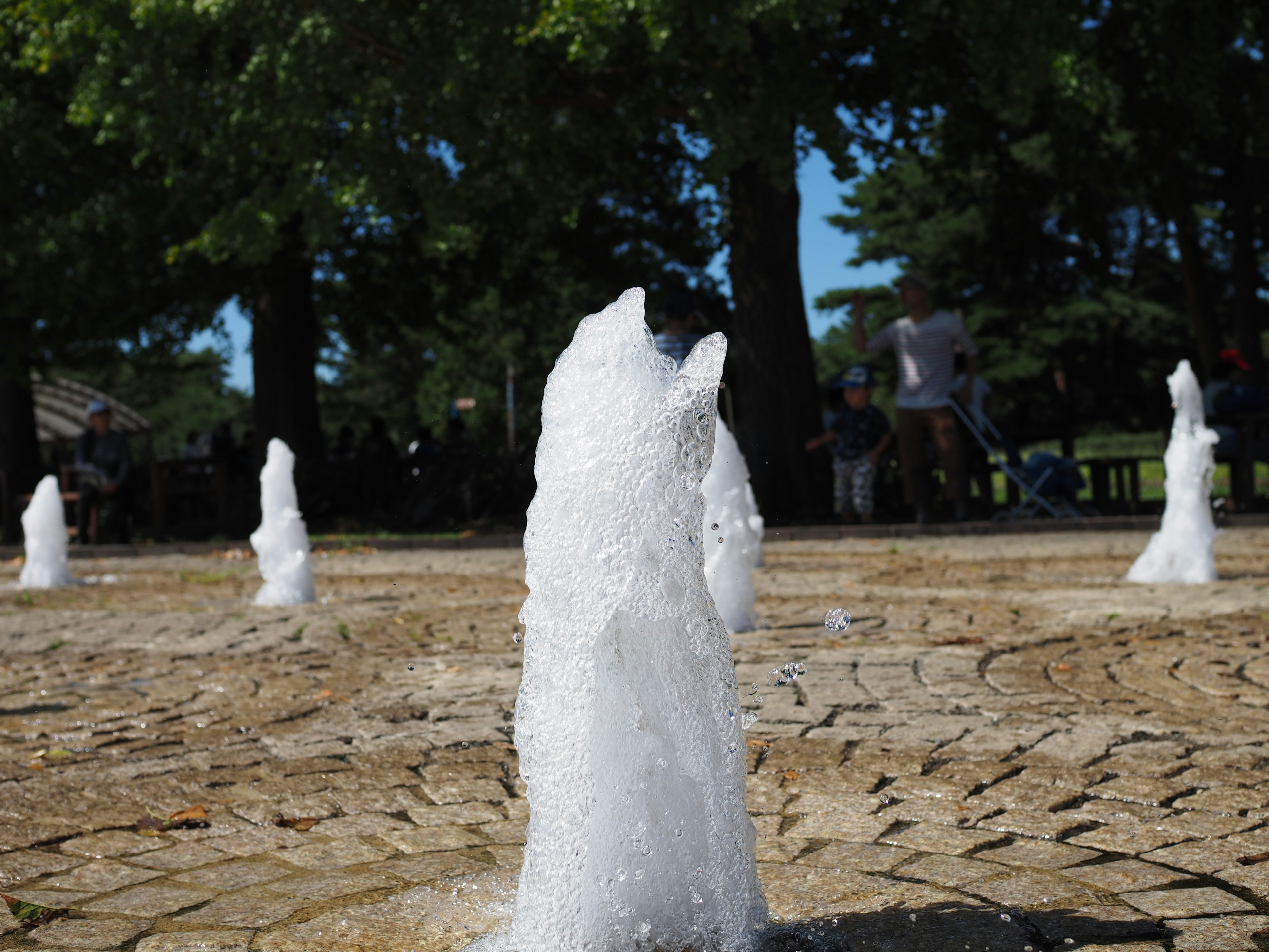 水の噴水が並ぶ公園の風景で、明るい緑の木々が背景にある