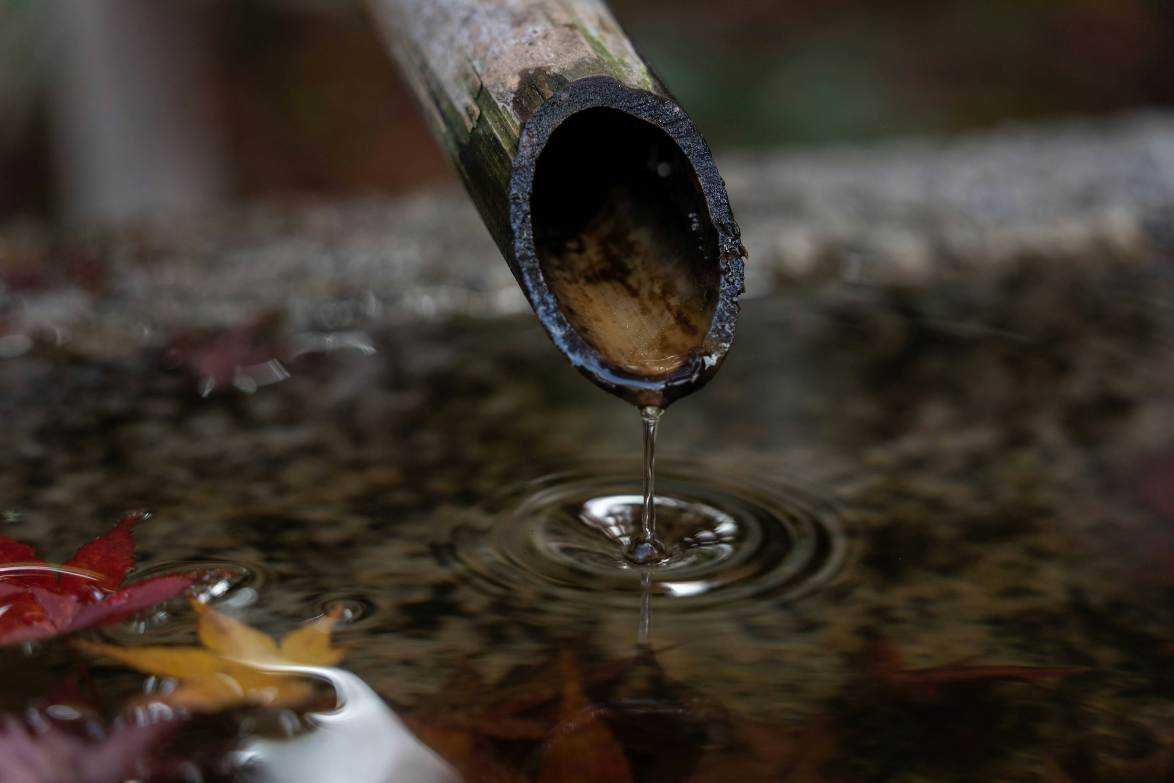 Agua goteando de un tubo de bambú creando ondas en la superficie