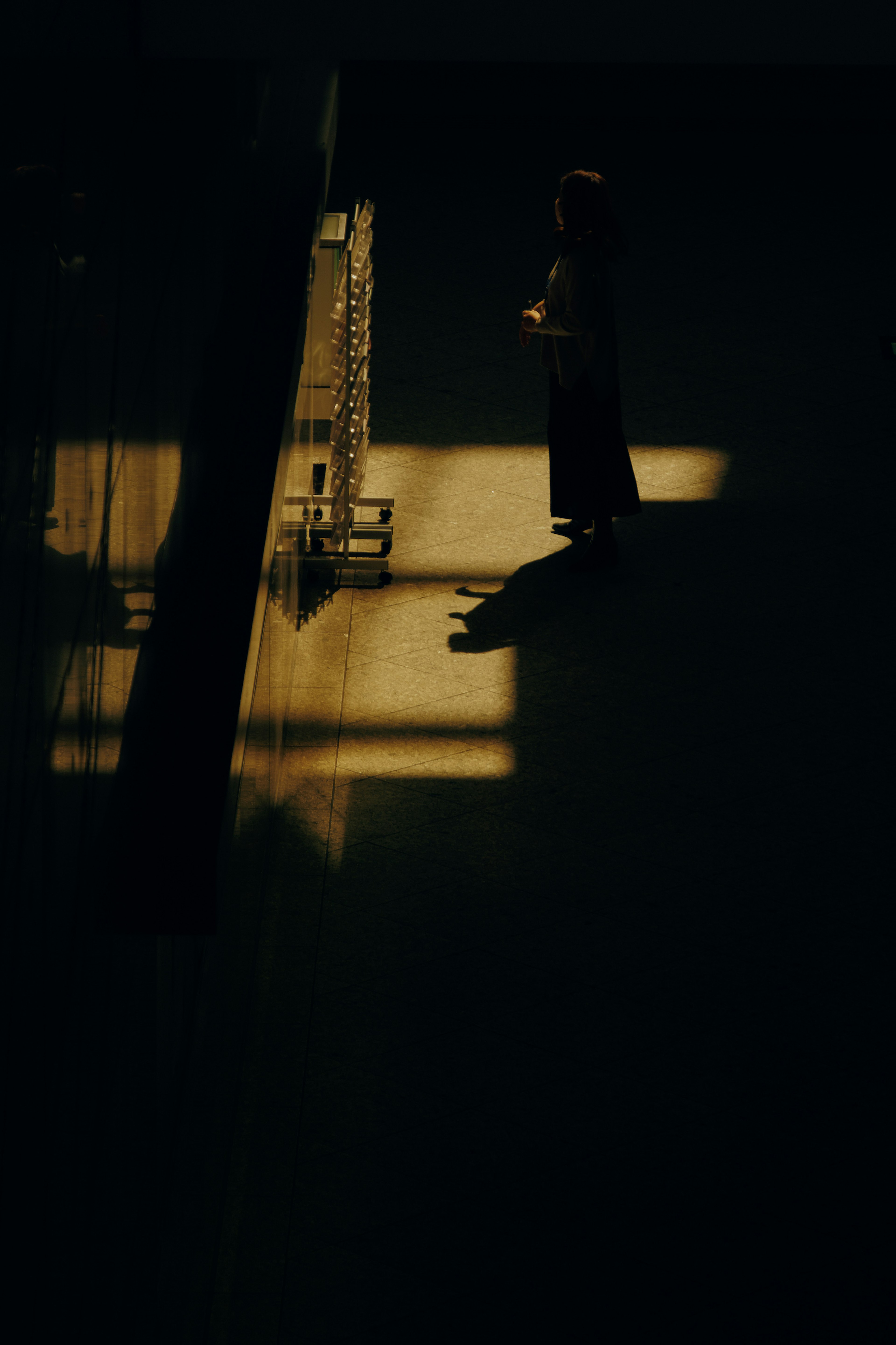 Silhouette of a person standing in the interplay of shadows and light