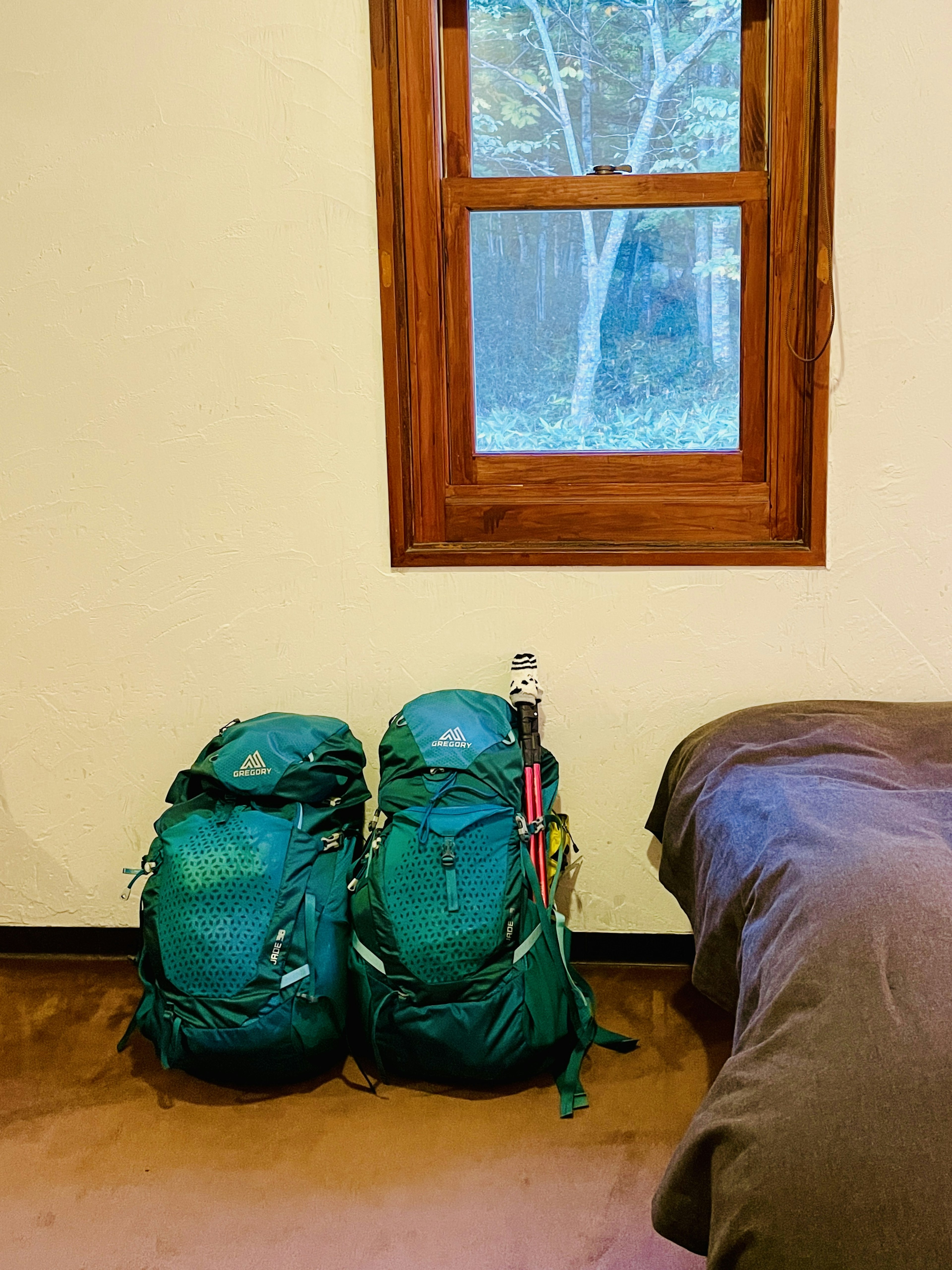 Dos mochilas verdes situadas cerca de una ventana en una habitación