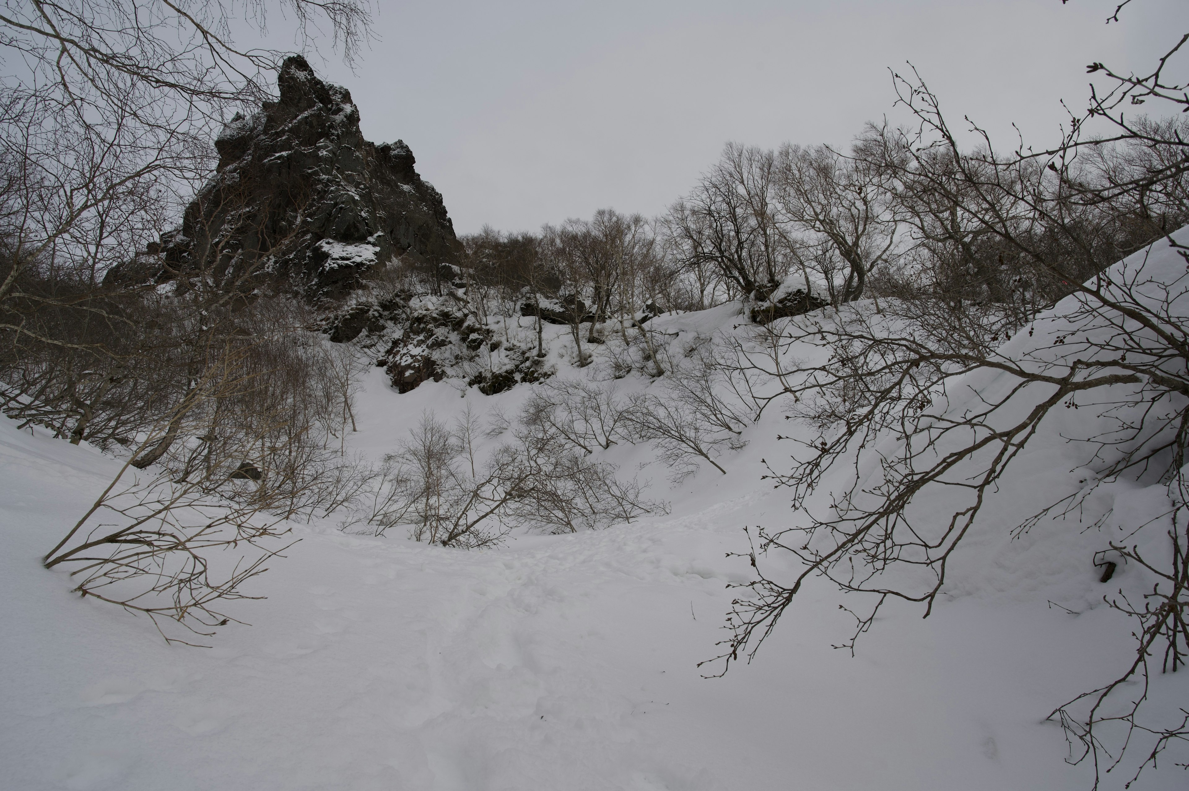 Snow-covered mountain landscape with tree branches