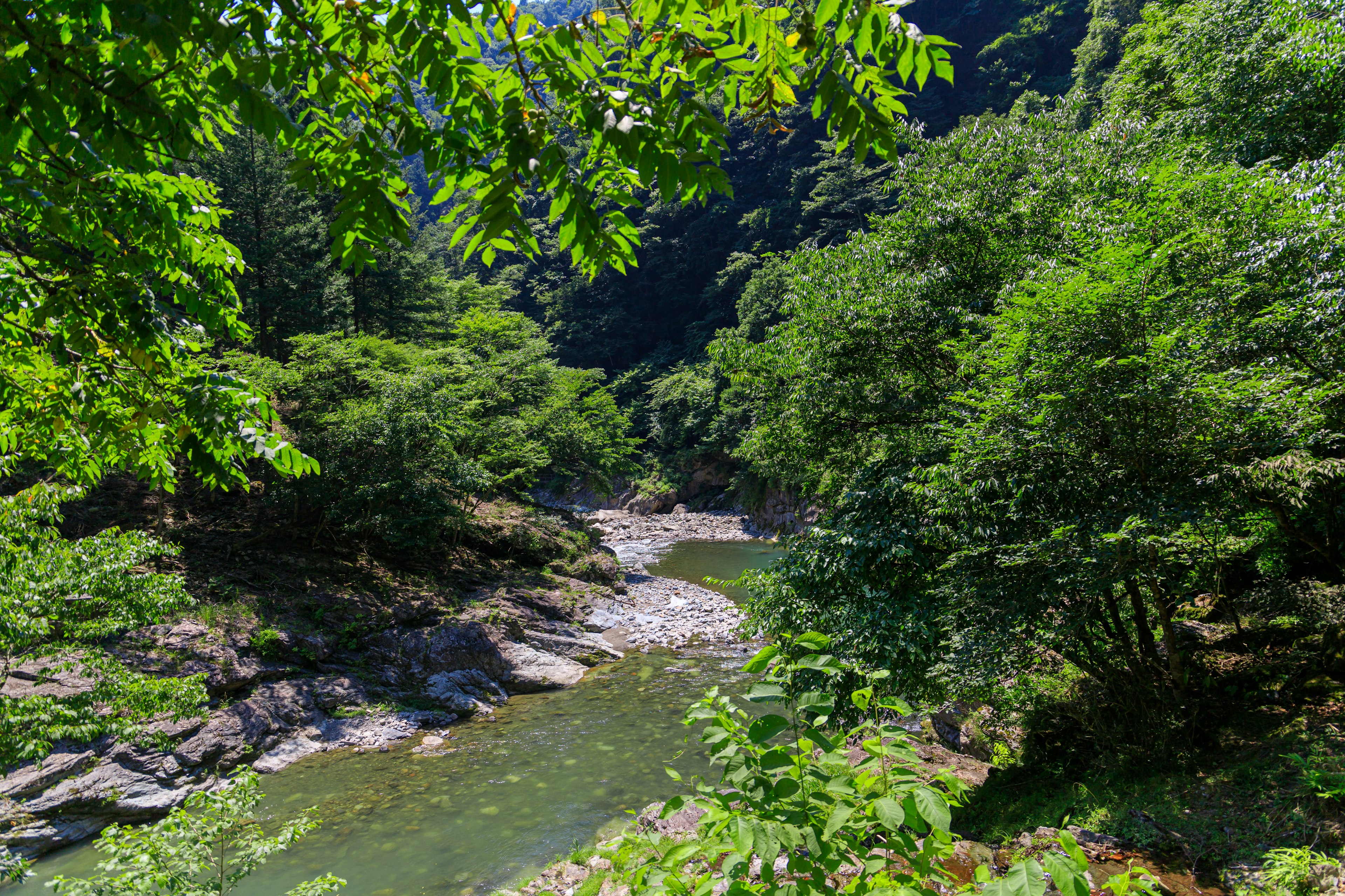 Paesaggio di fiume sereno circondato da verde lussureggiante