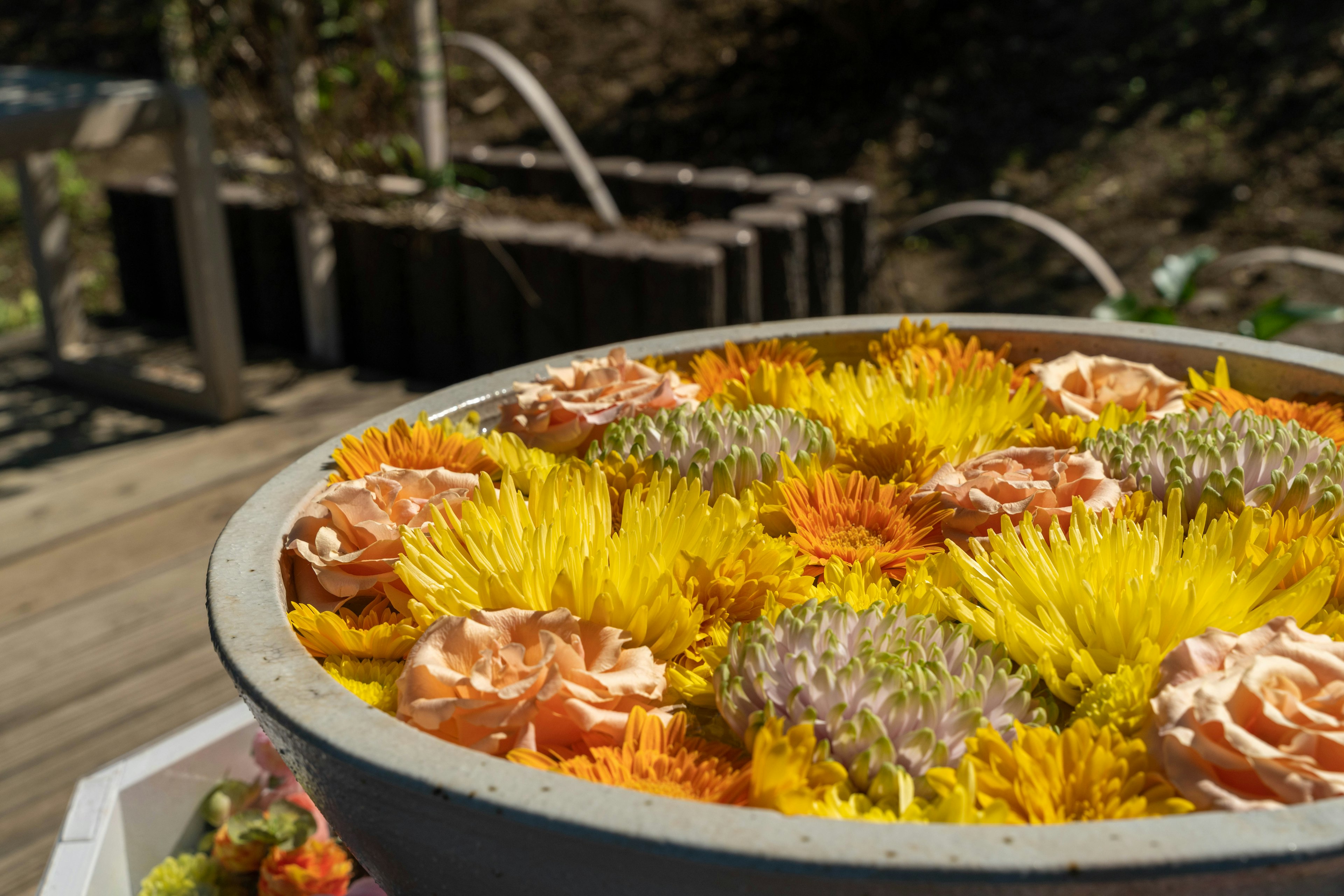 A large pot filled with vibrant flowers including yellow and orange blooms