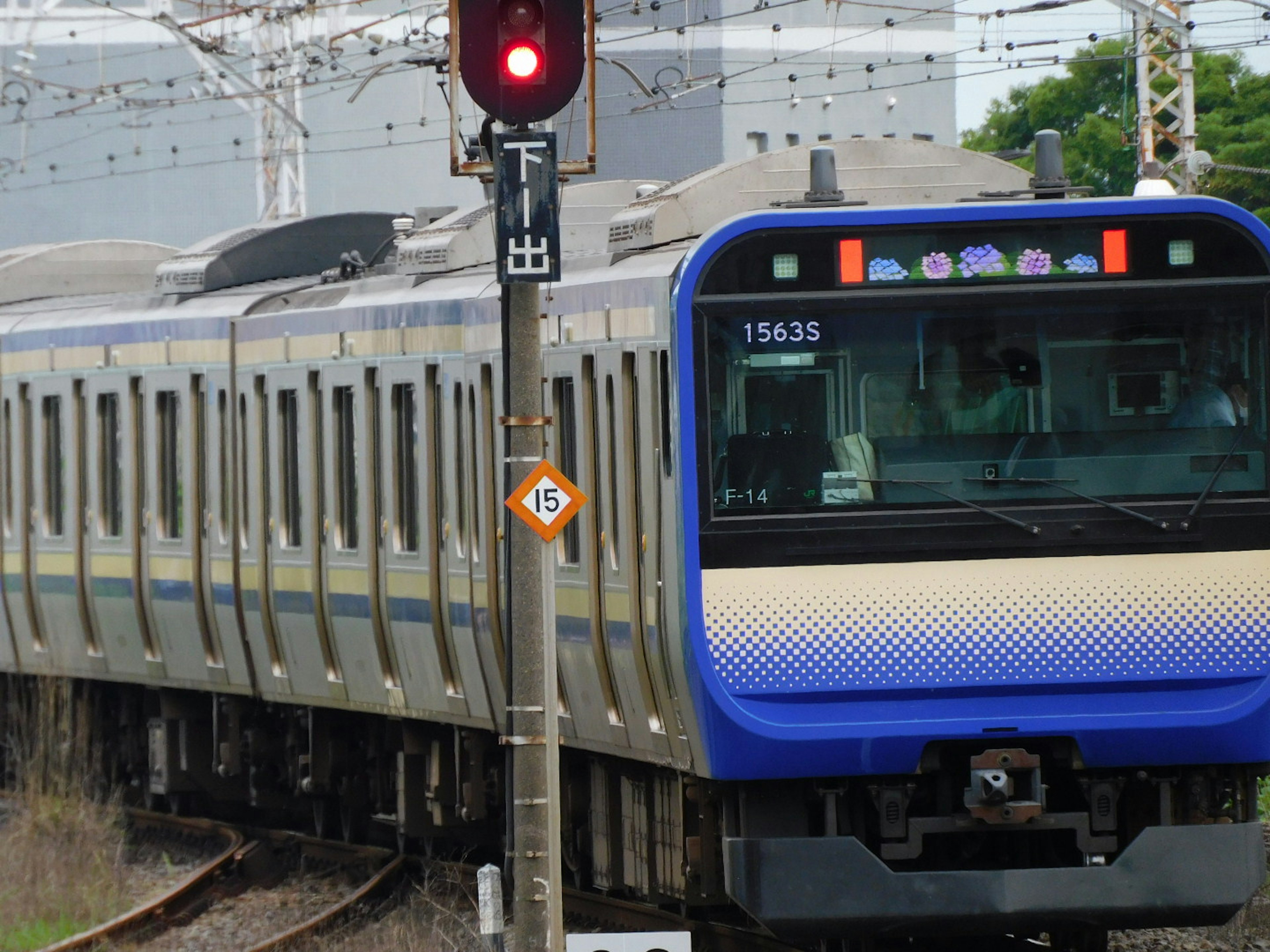 青と白の電車が赤信号の前に停車している風景