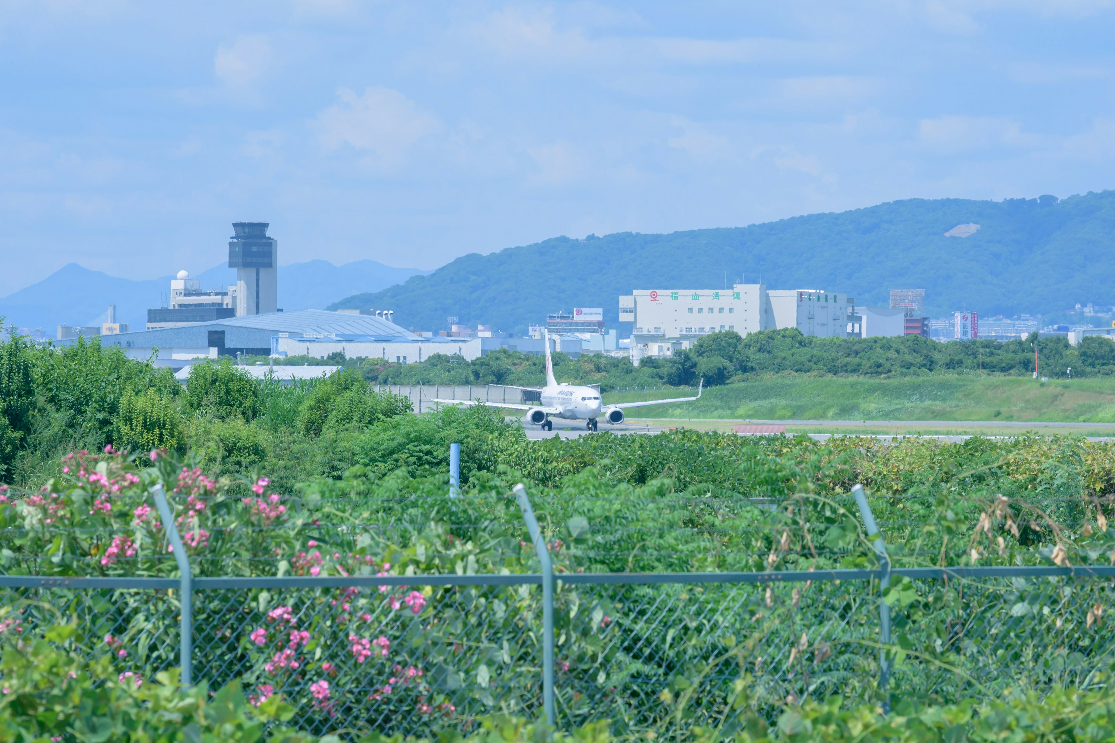 Airplane approaching runway with greenery and airport buildings in the background